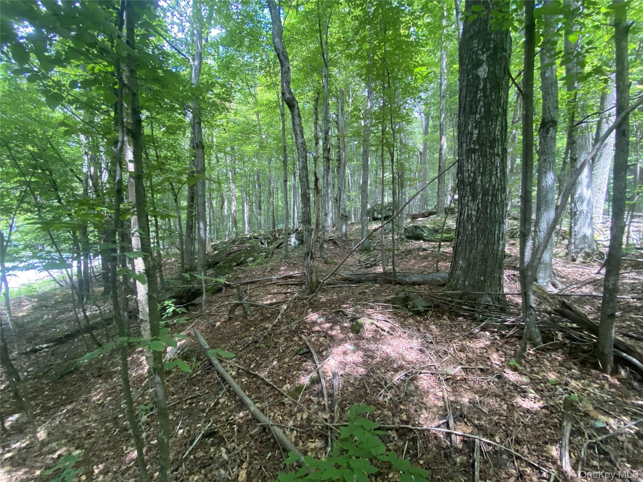 140 Arbor Road – For Sale photo 6