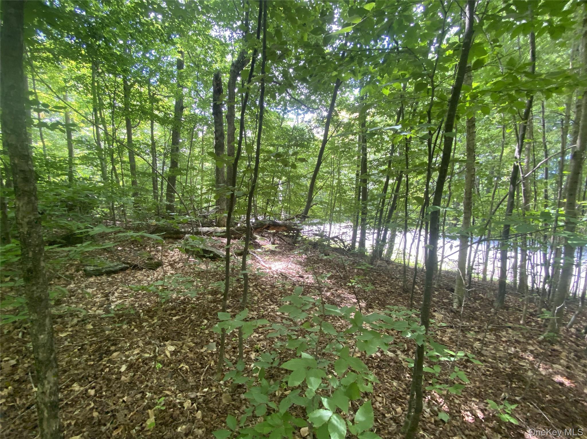 140 Arbor Road – For Sale photo 12