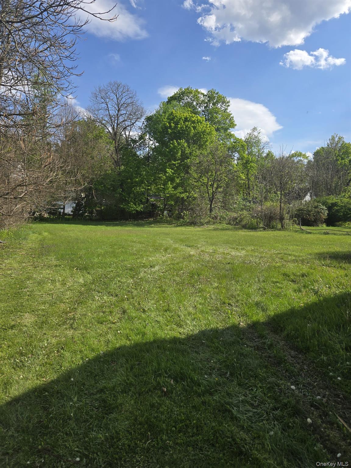 6 Broadhead Street – For Rent photo 15