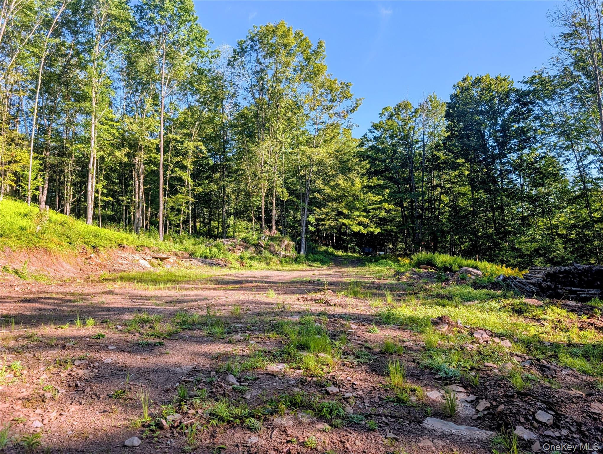 Hurd Road – For Sale photo 13