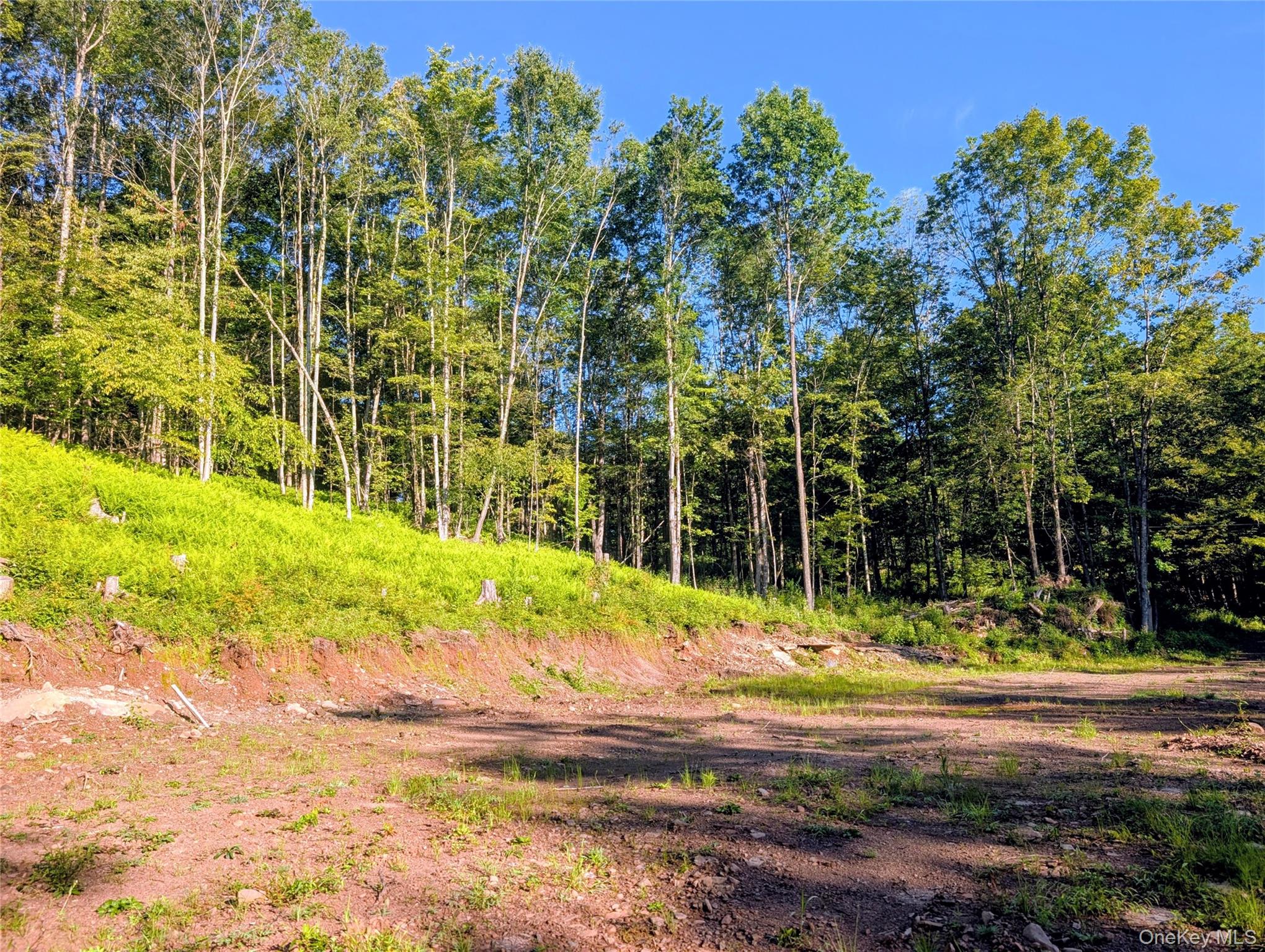 Hurd Road – For Sale photo 14