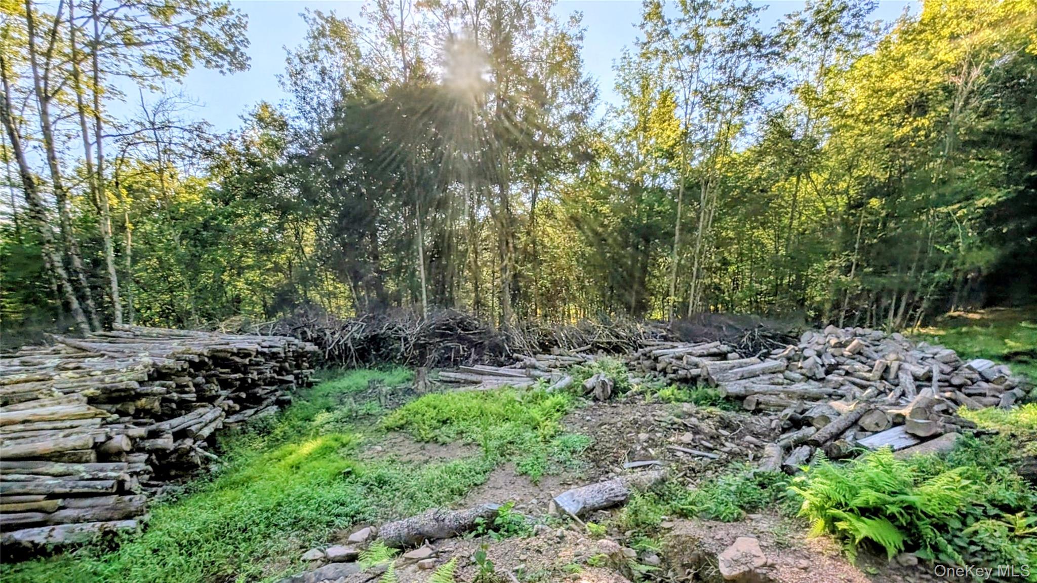 Hurd Road – For Sale photo 17
