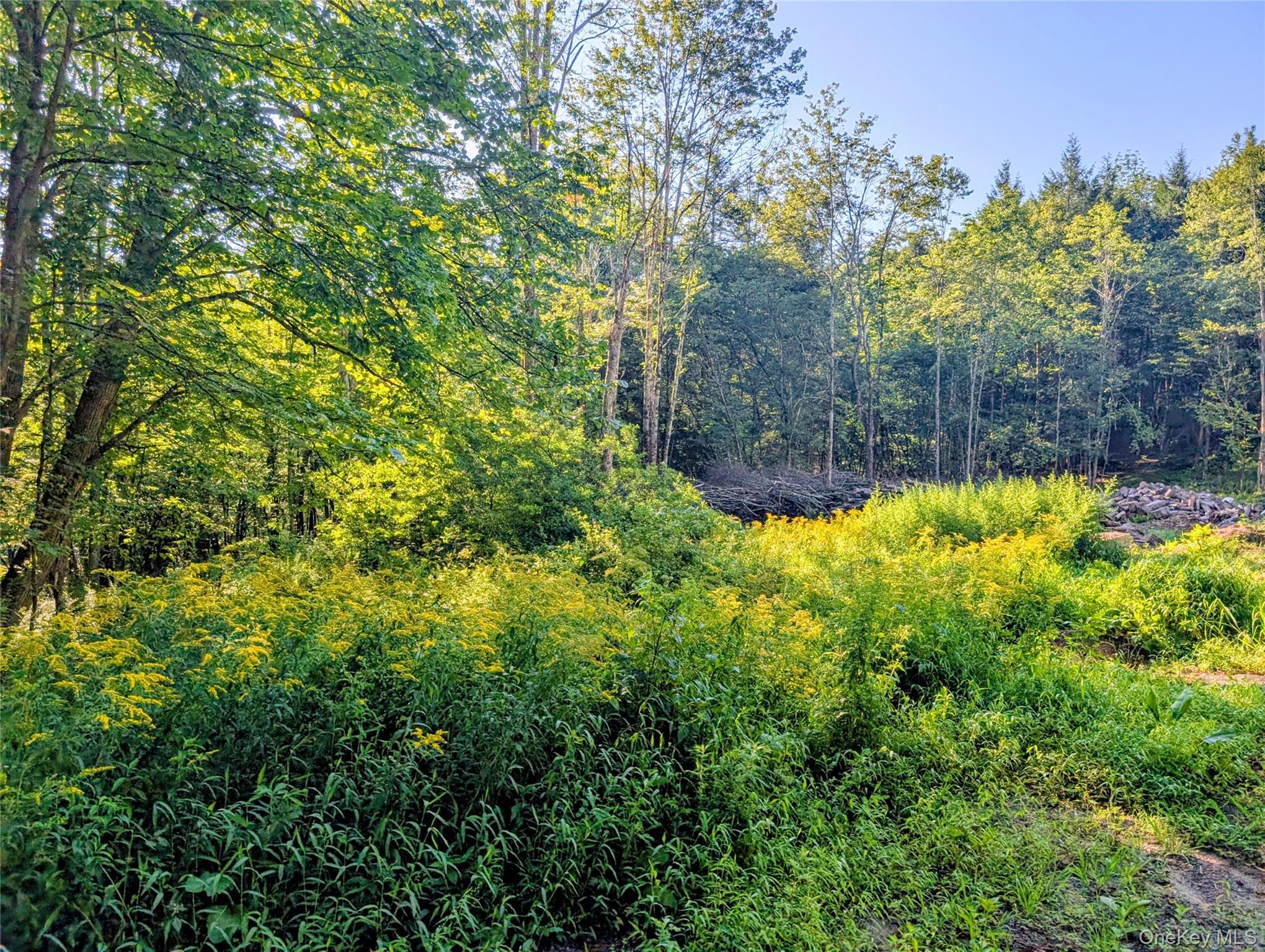 Hurd Road – For Sale photo 20