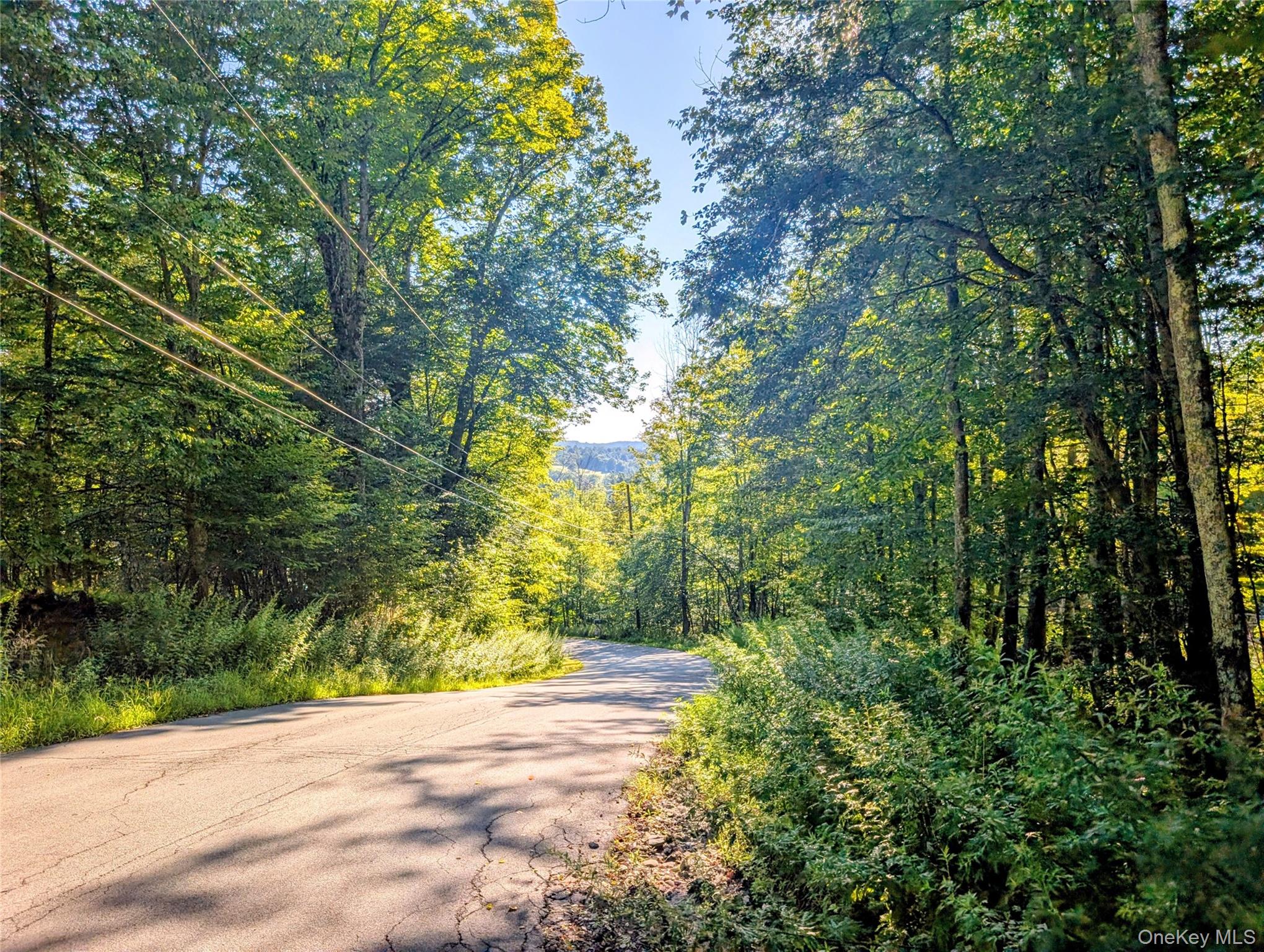 Hurd Road – For Sale photo 21