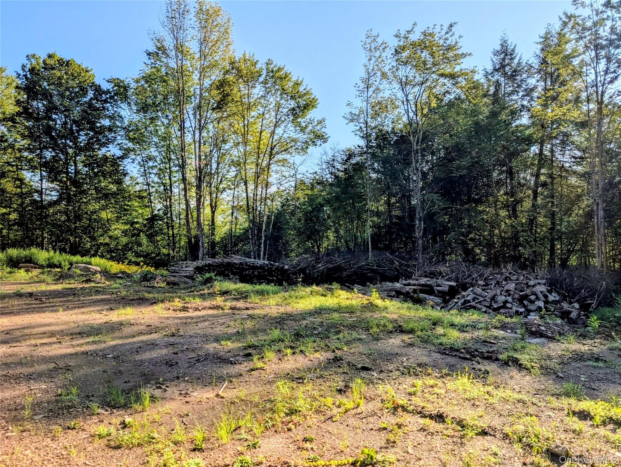 Hurd Road – For Sale photo 15