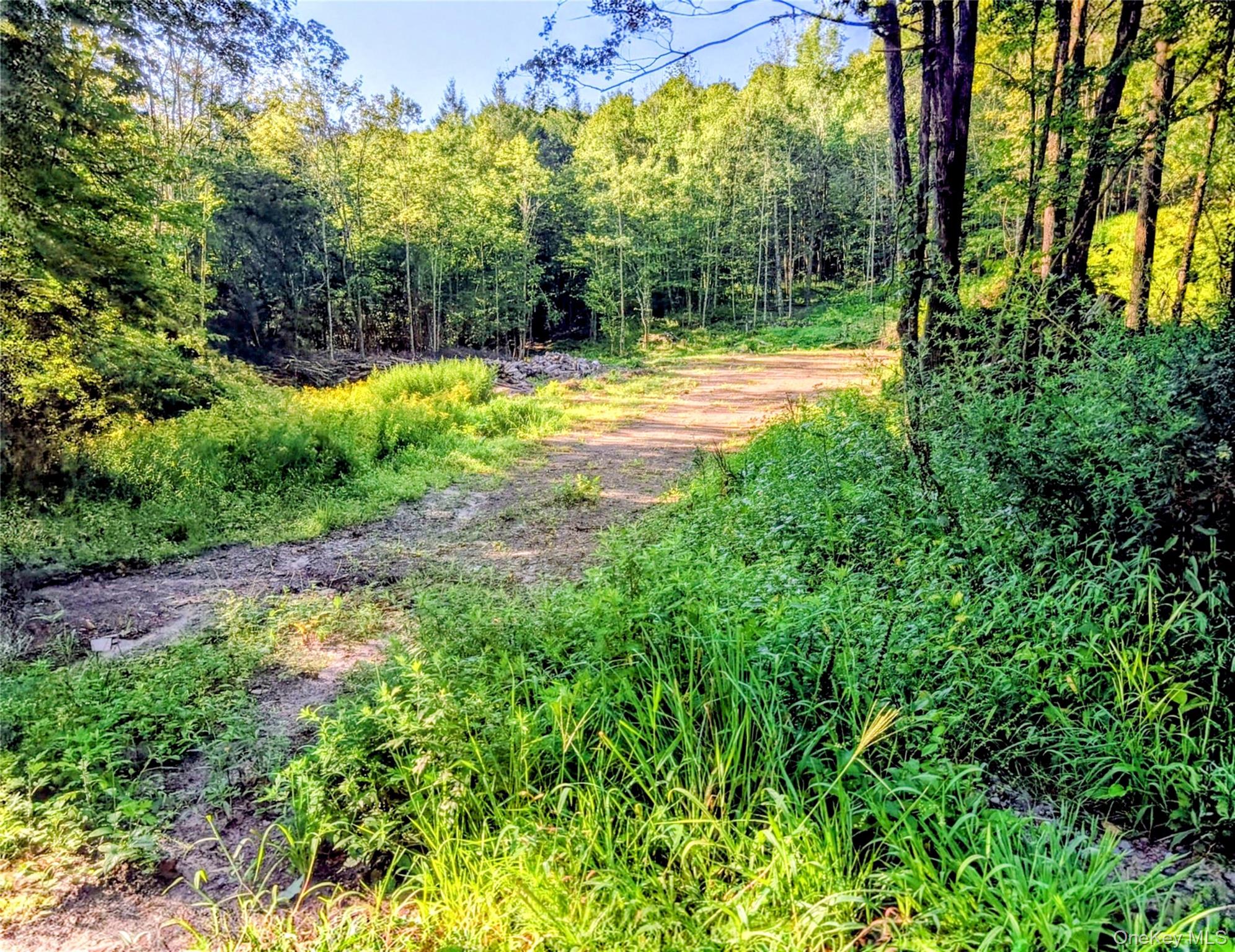 Hurd Road – For Sale photo 2