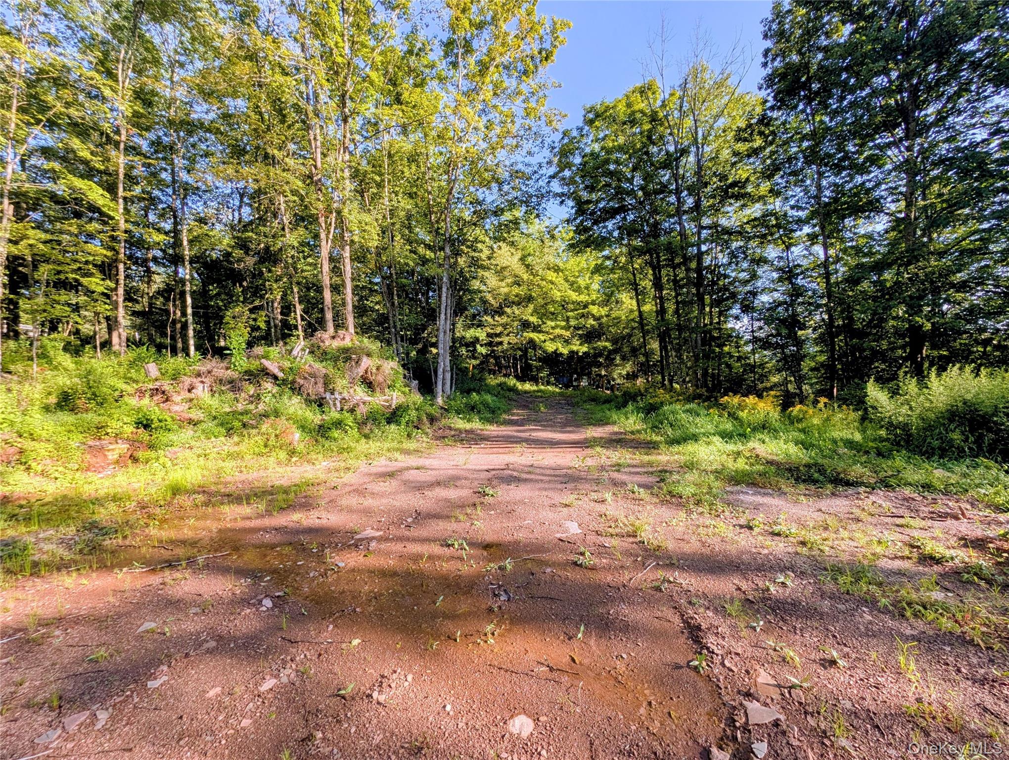 Hurd Road – For Sale photo 19