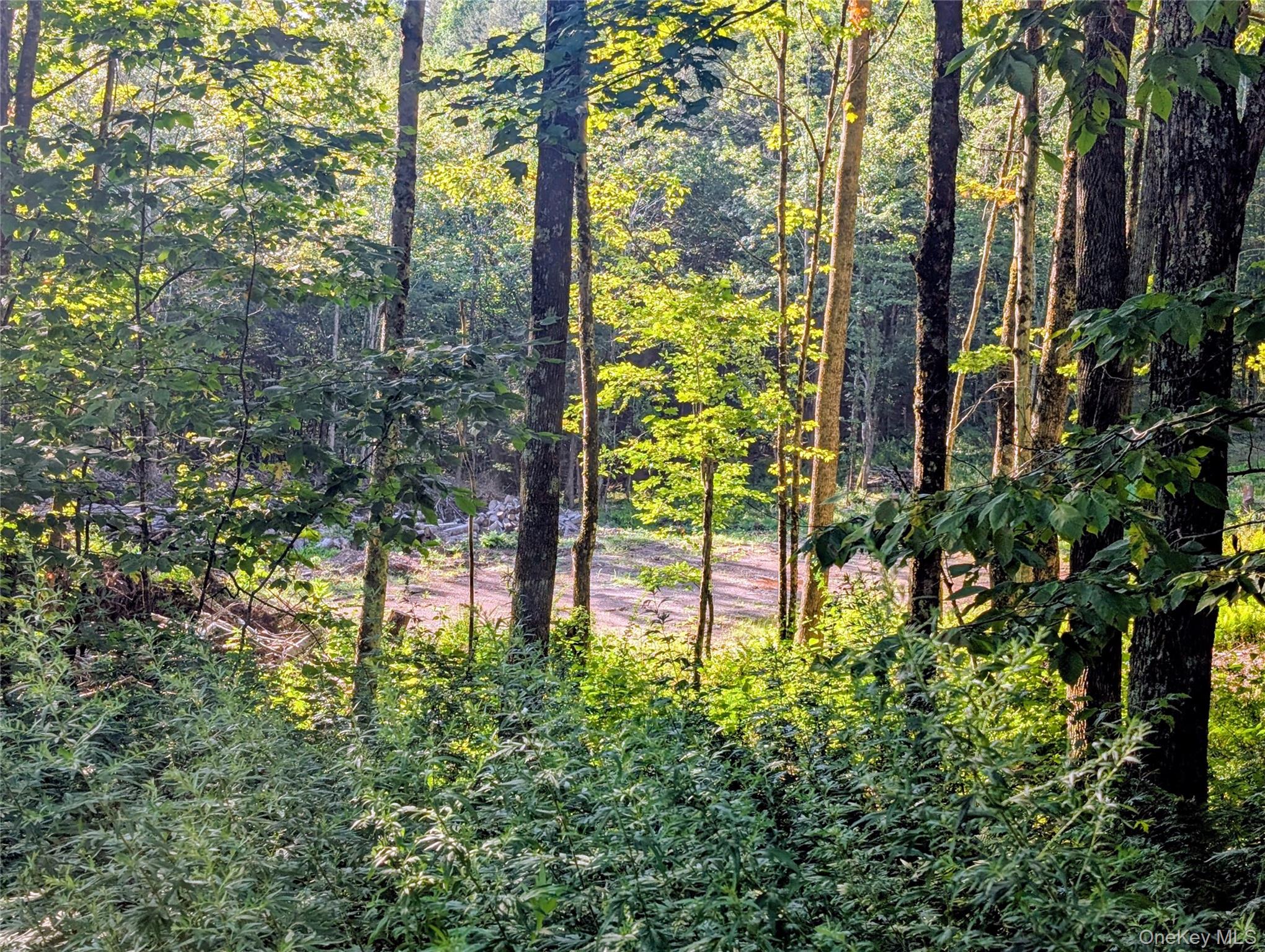 Hurd Road – For Sale photo 22