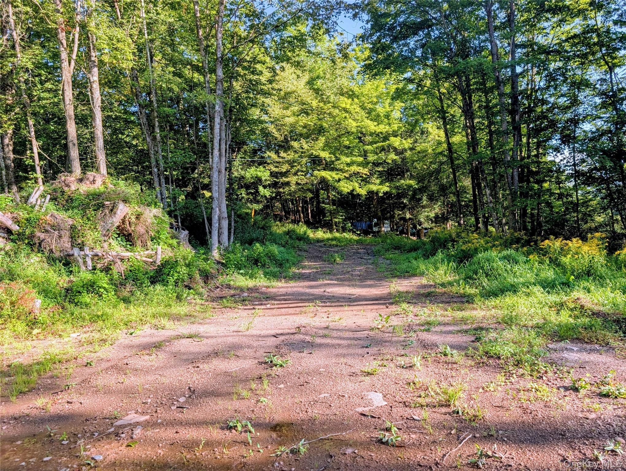 Hurd Road – For Sale photo 7