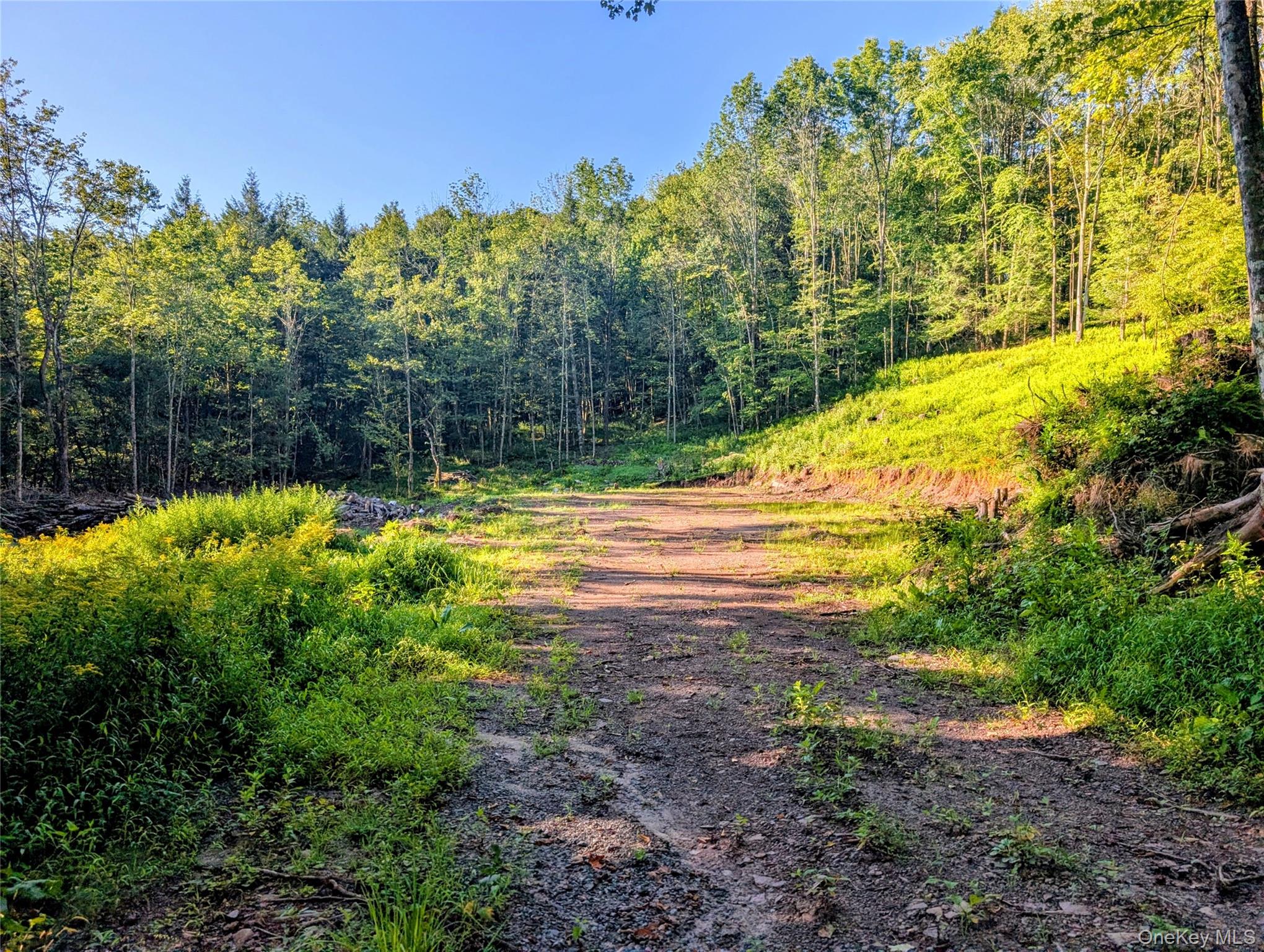 Hurd Road – For Sale photo 6