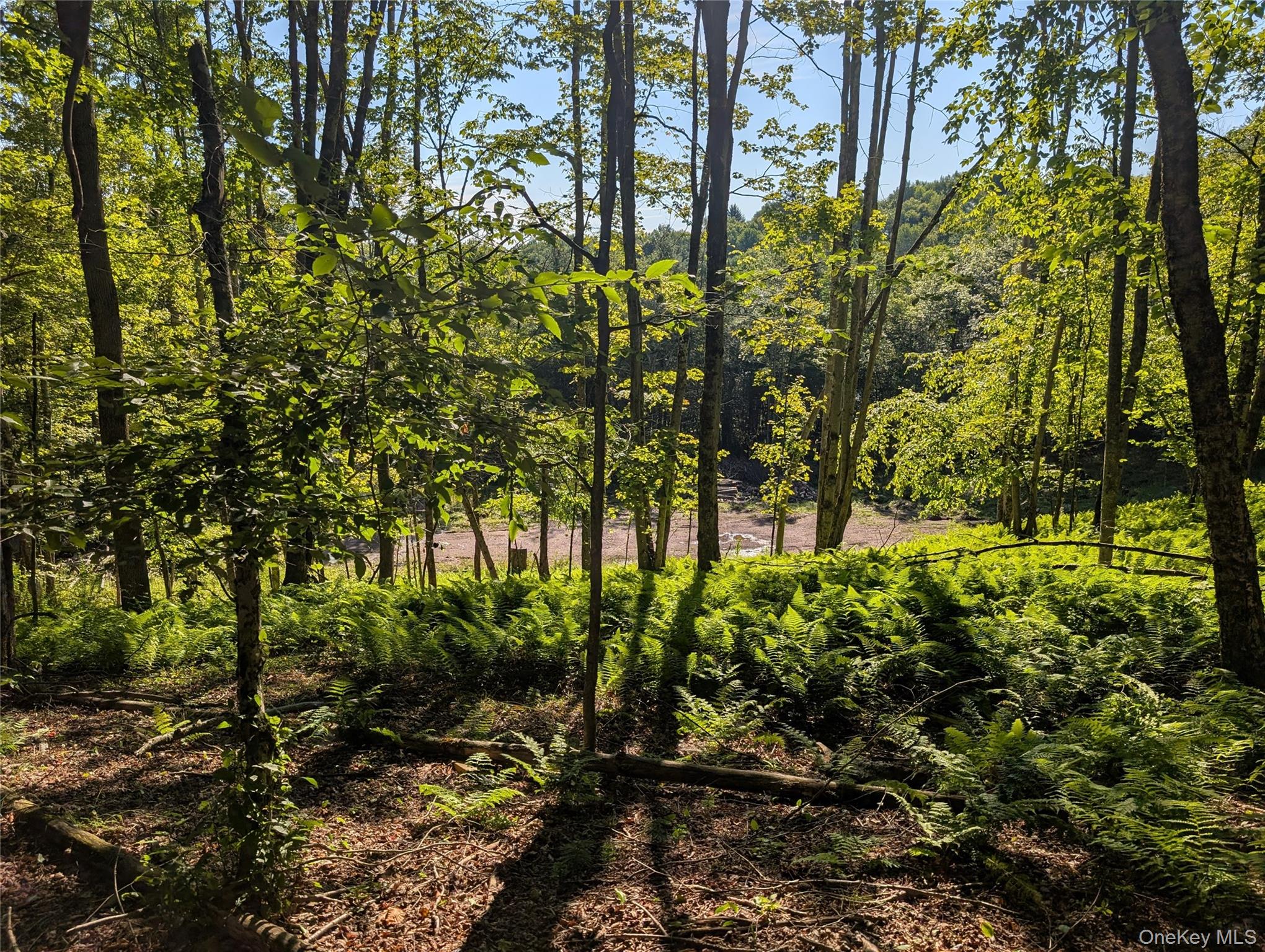 Hurd Road – For Sale photo 25