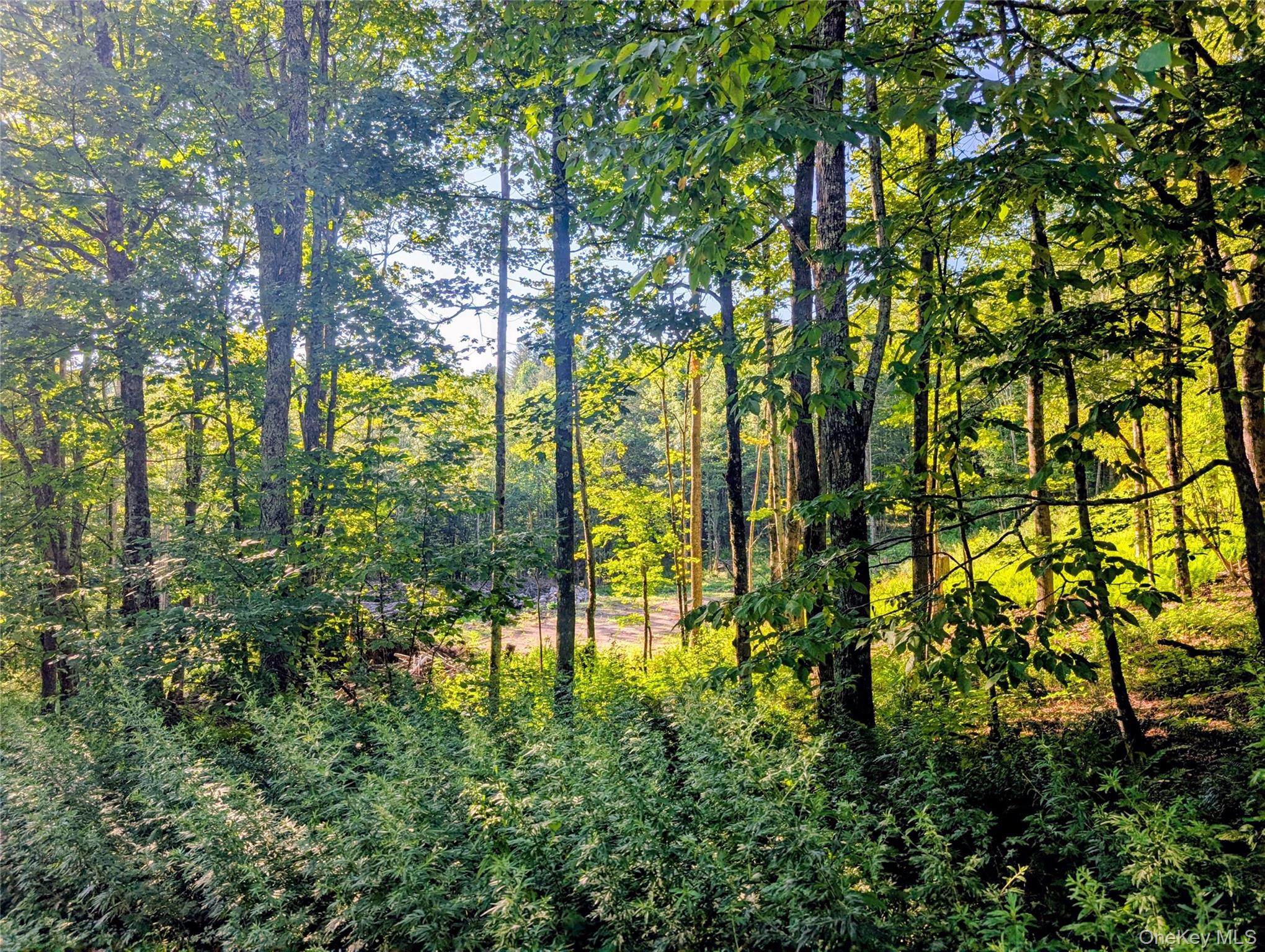 Hurd Road – For Sale photo 23