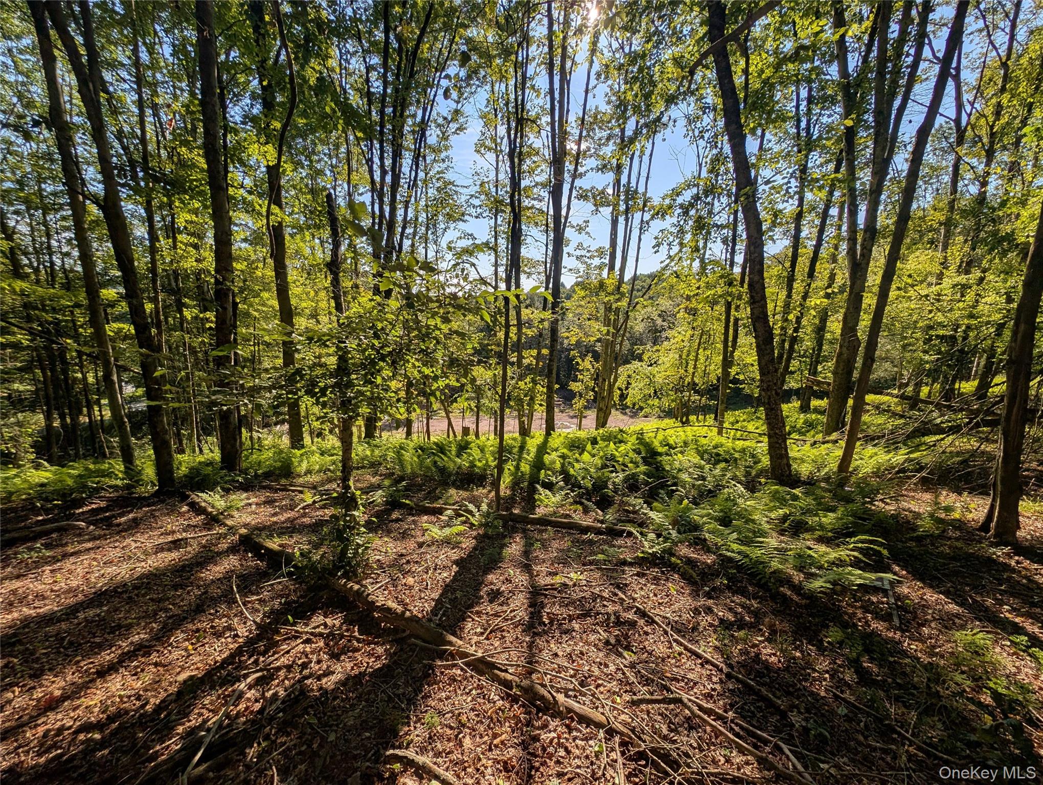 Hurd Road – For Sale photo 18