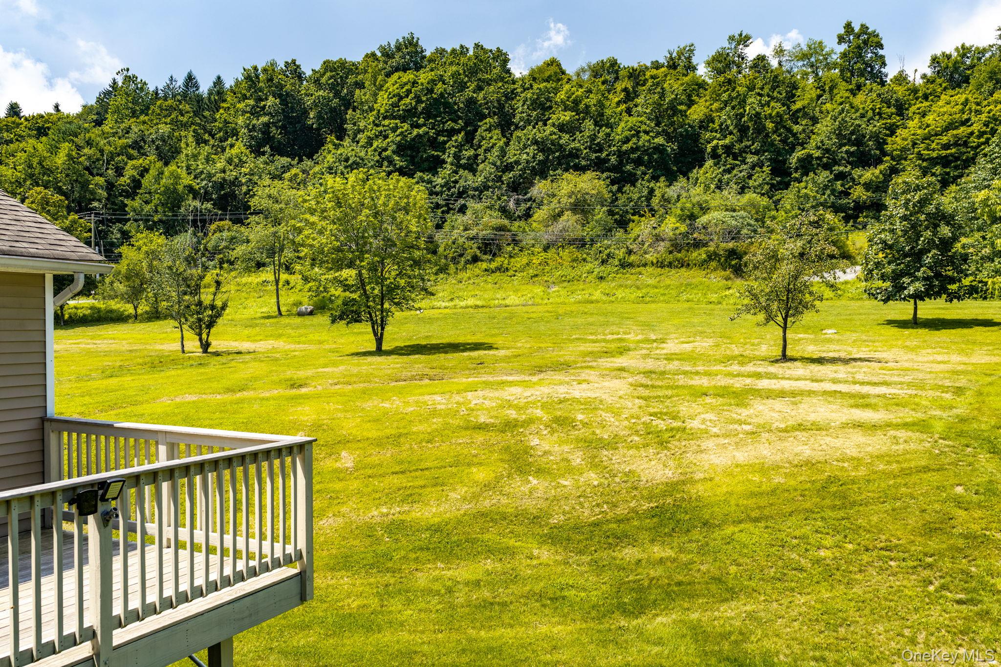 236 Springbrook Road – For Sale photo 39
