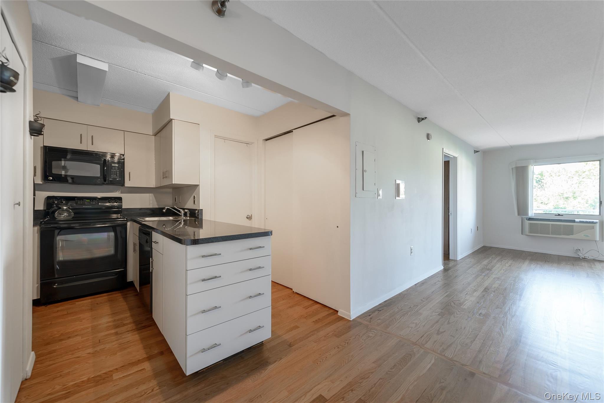 205 Mineola Boulevard, Unit 3G photo 13