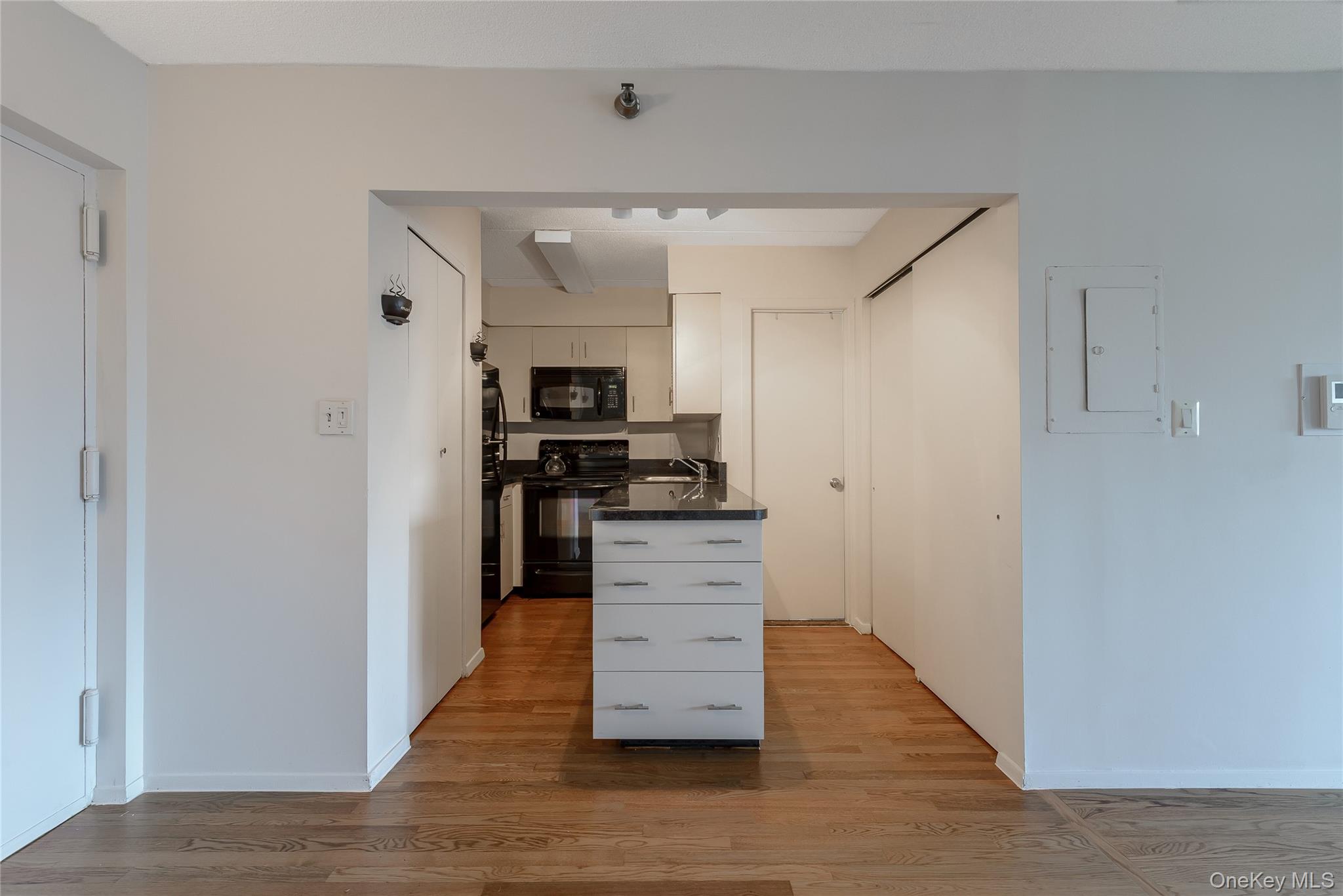 205 Mineola Boulevard, Unit 3G photo 12