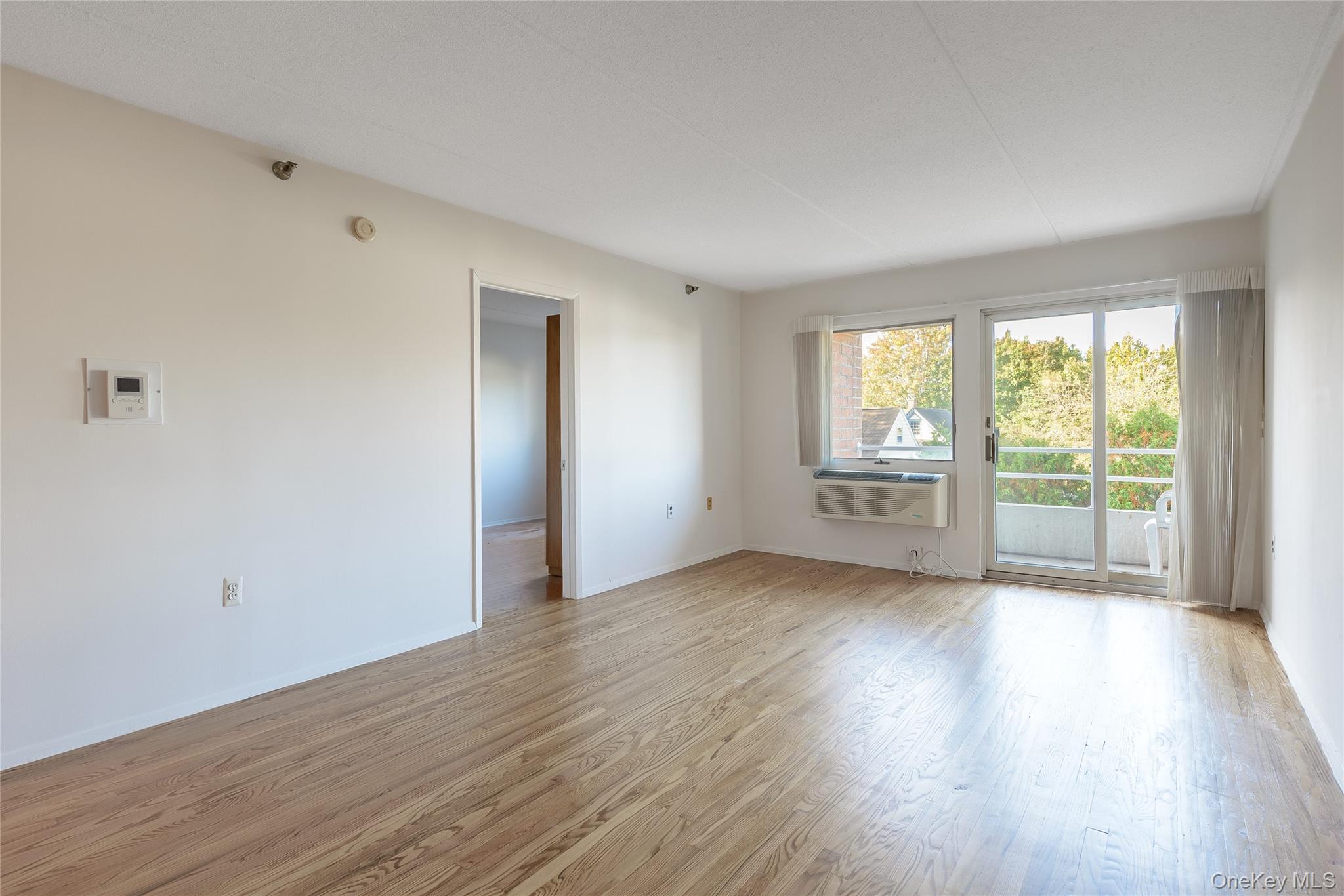 205 Mineola Boulevard, Unit 3G photo 4
