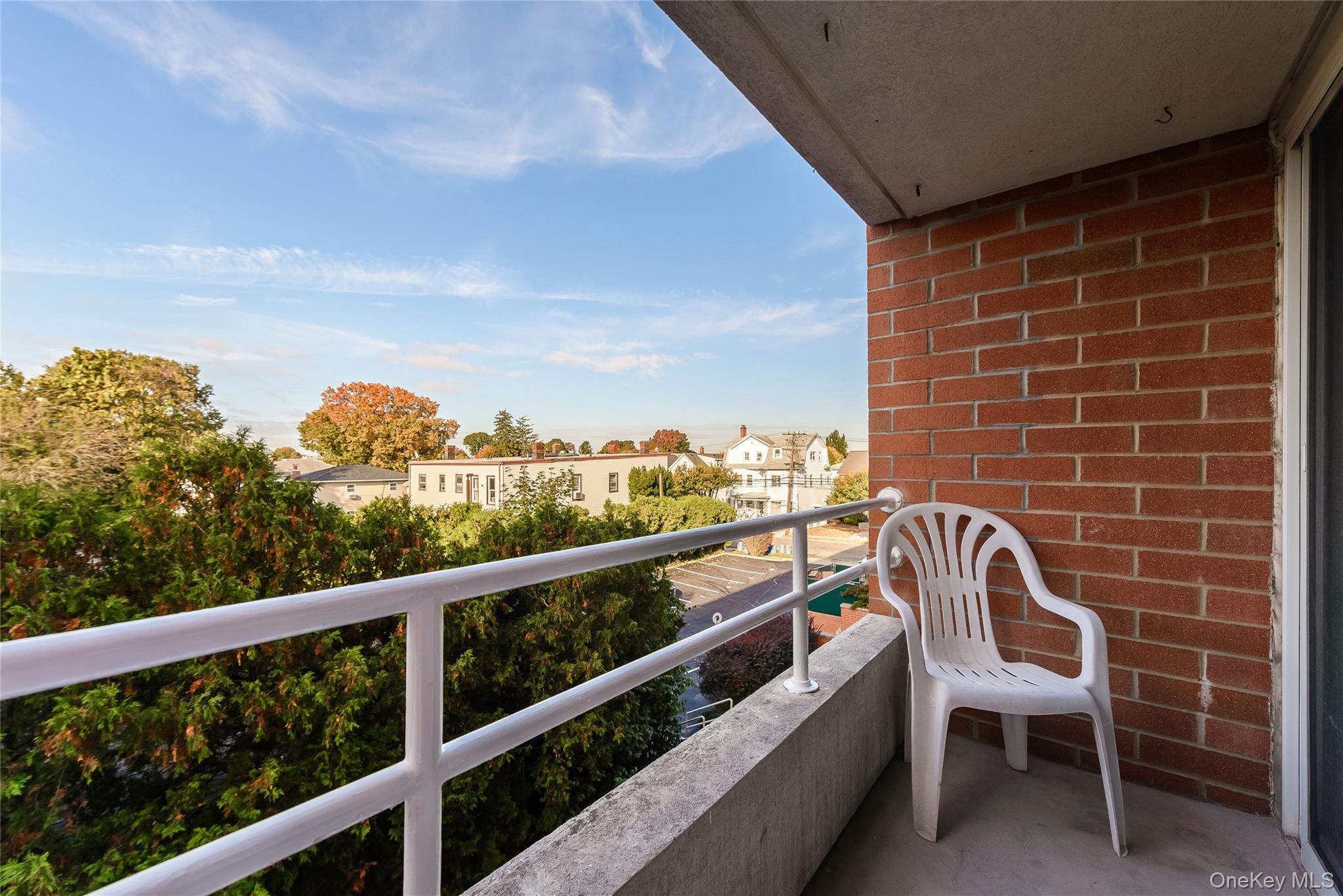 205 Mineola Boulevard, Unit 3G photo 19