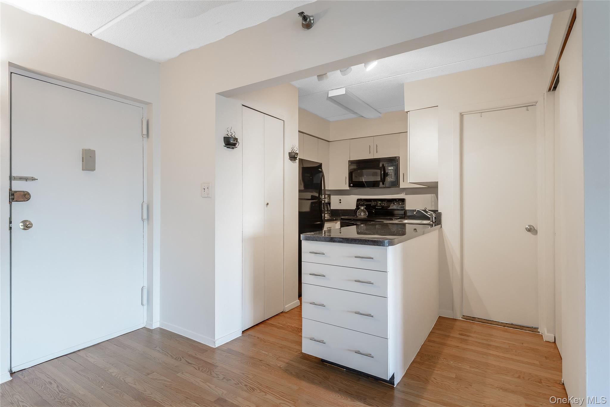 205 Mineola Boulevard, Unit 3G photo 11
