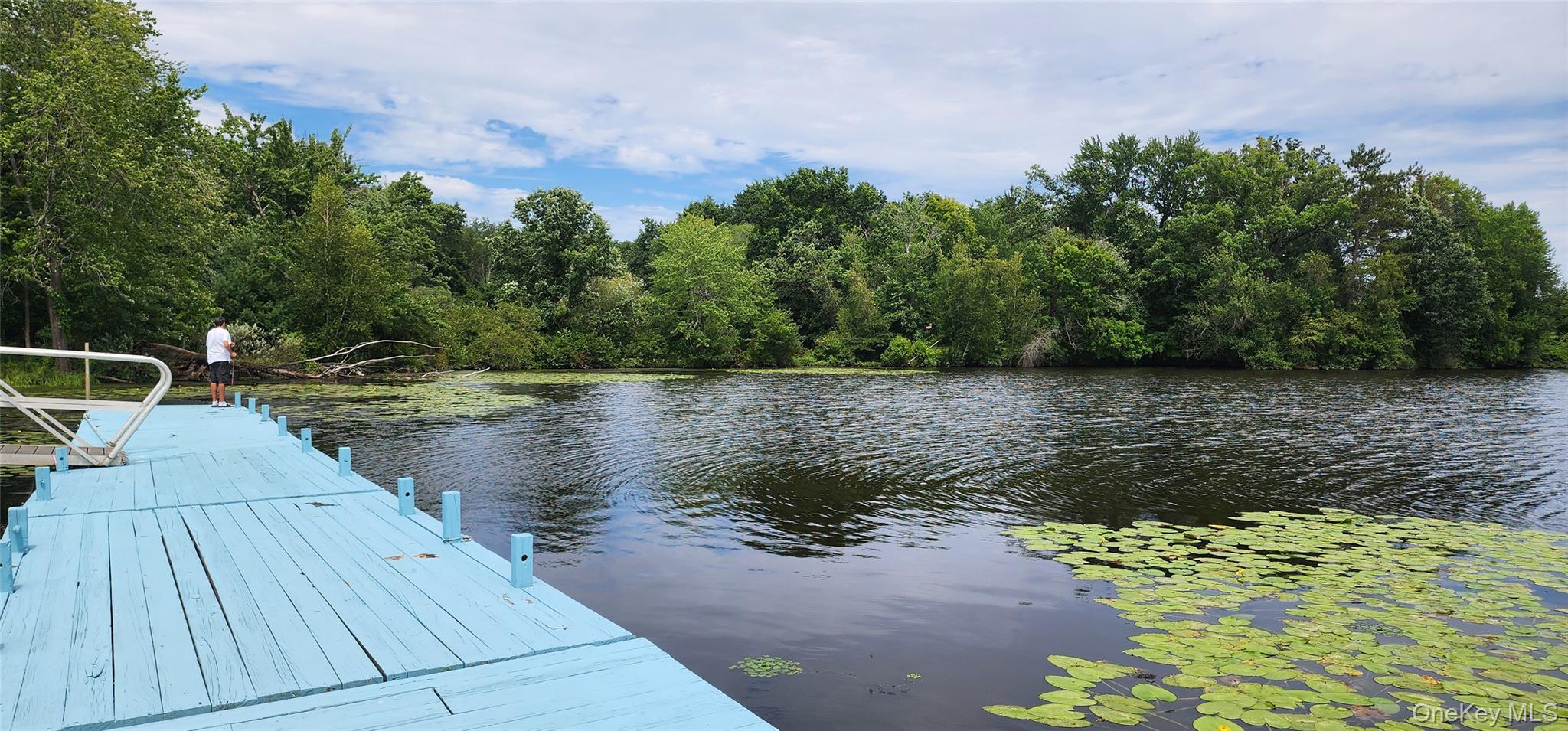 266 County Route 7 – For Sale photo 42