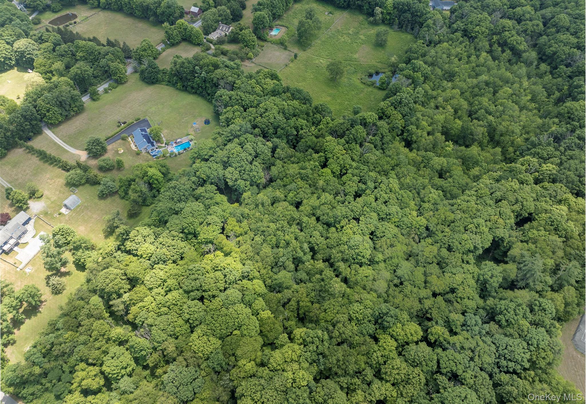 61 Rymph Road – For Sale photo 41