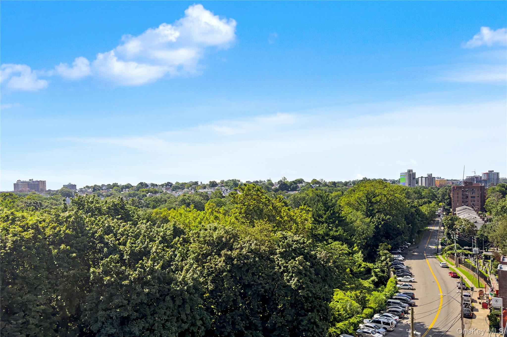 671 Bronx River Road, Unit 6k photo 19
