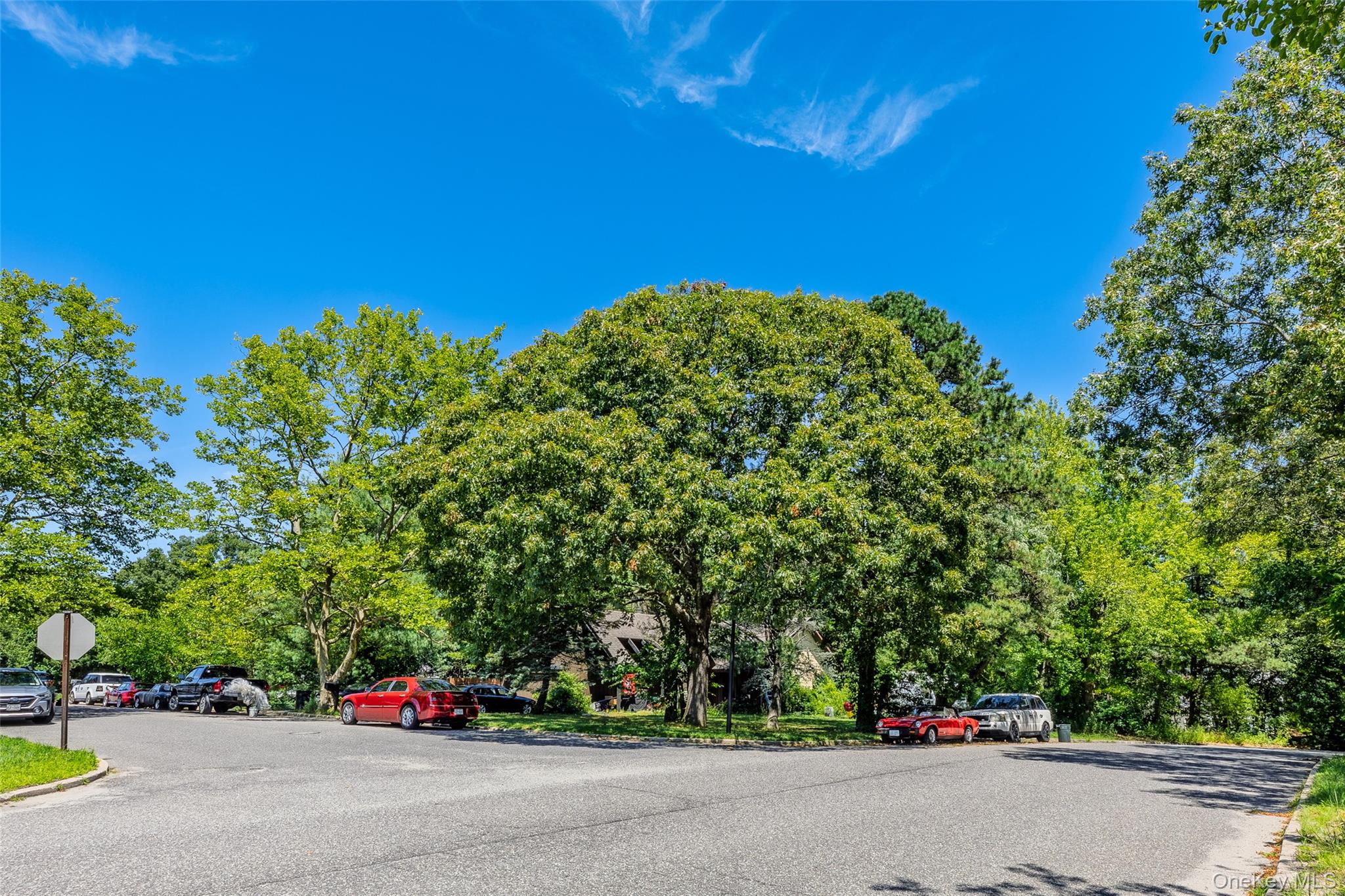 3 Gaton Lane – For Sale photo 4