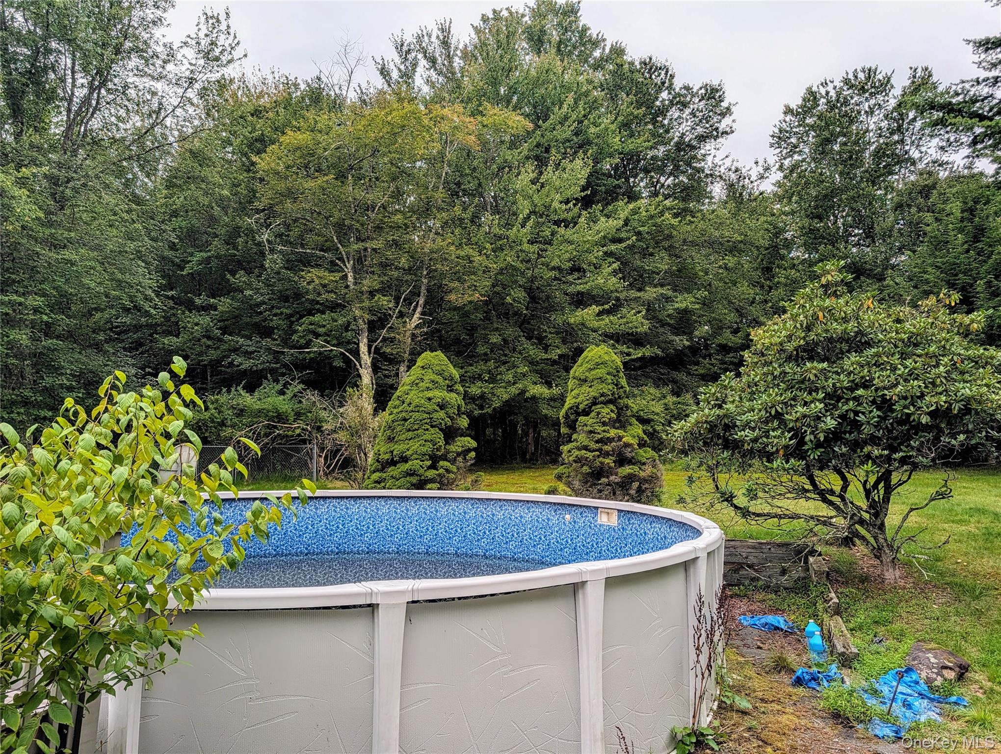77 Murphy Road – For Sale photo 22