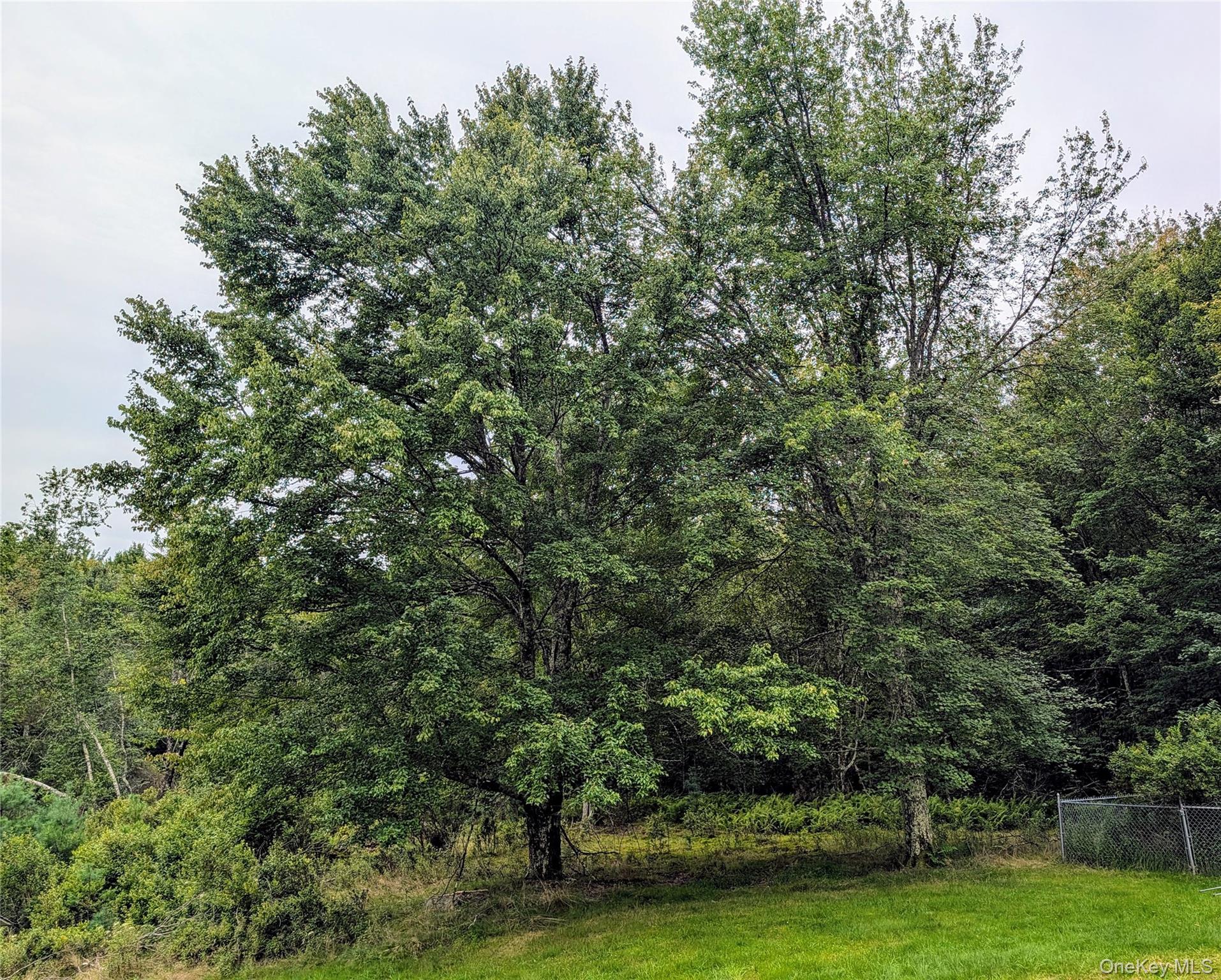 77 Murphy Road – For Sale photo 26
