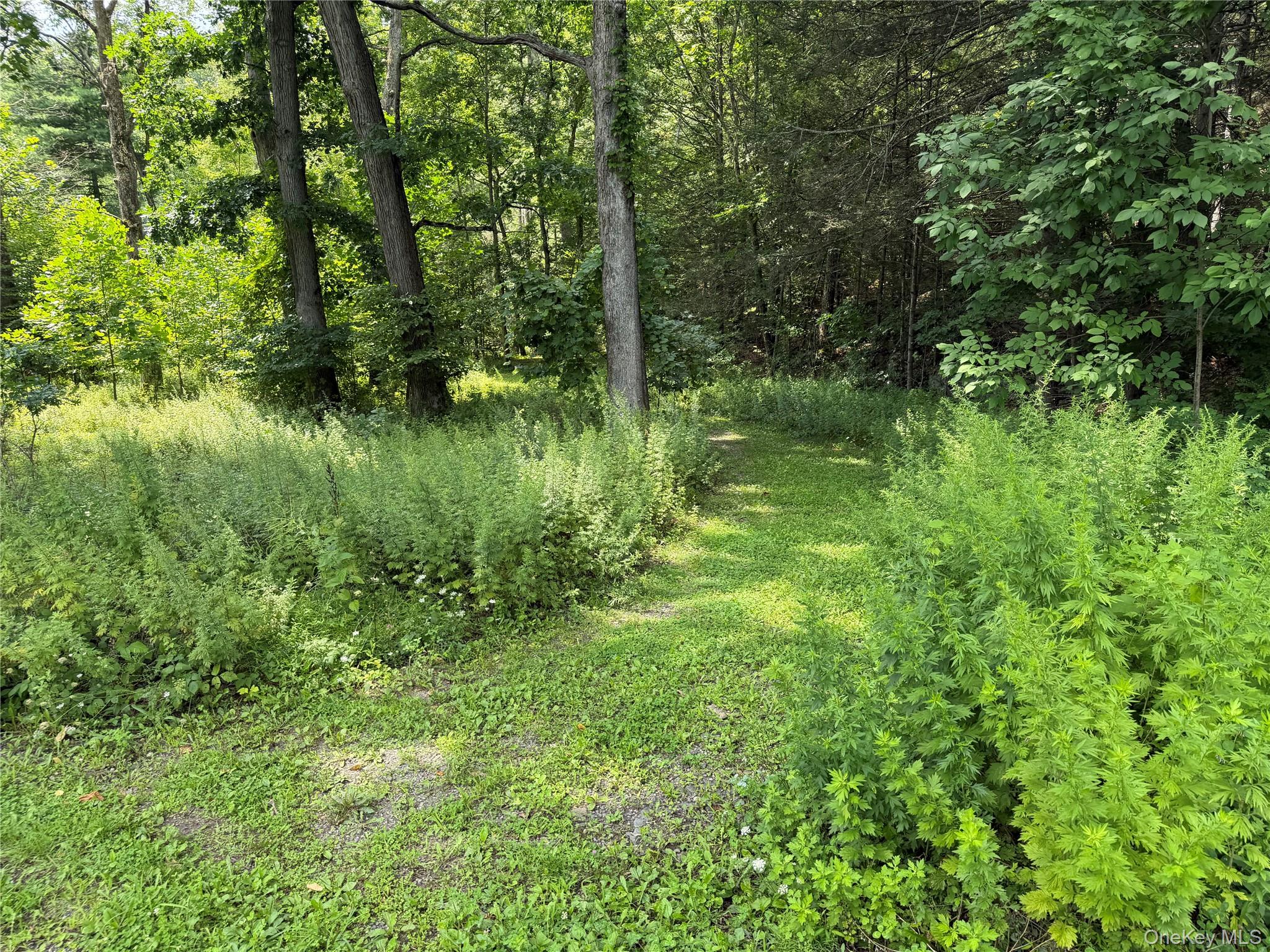 Route 209 Highway – For Sale photo 3