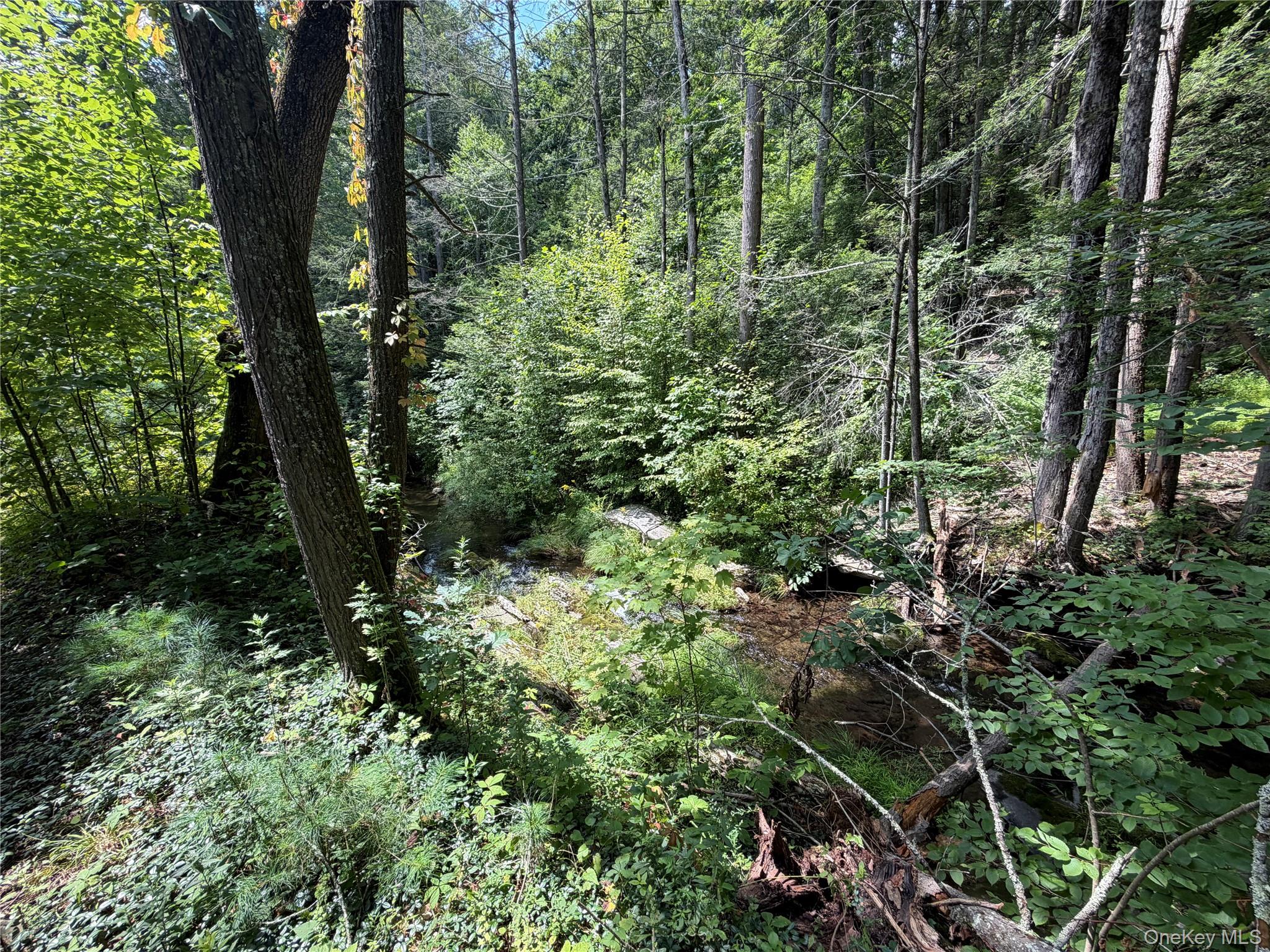 Route 209 Highway – For Sale photo 8