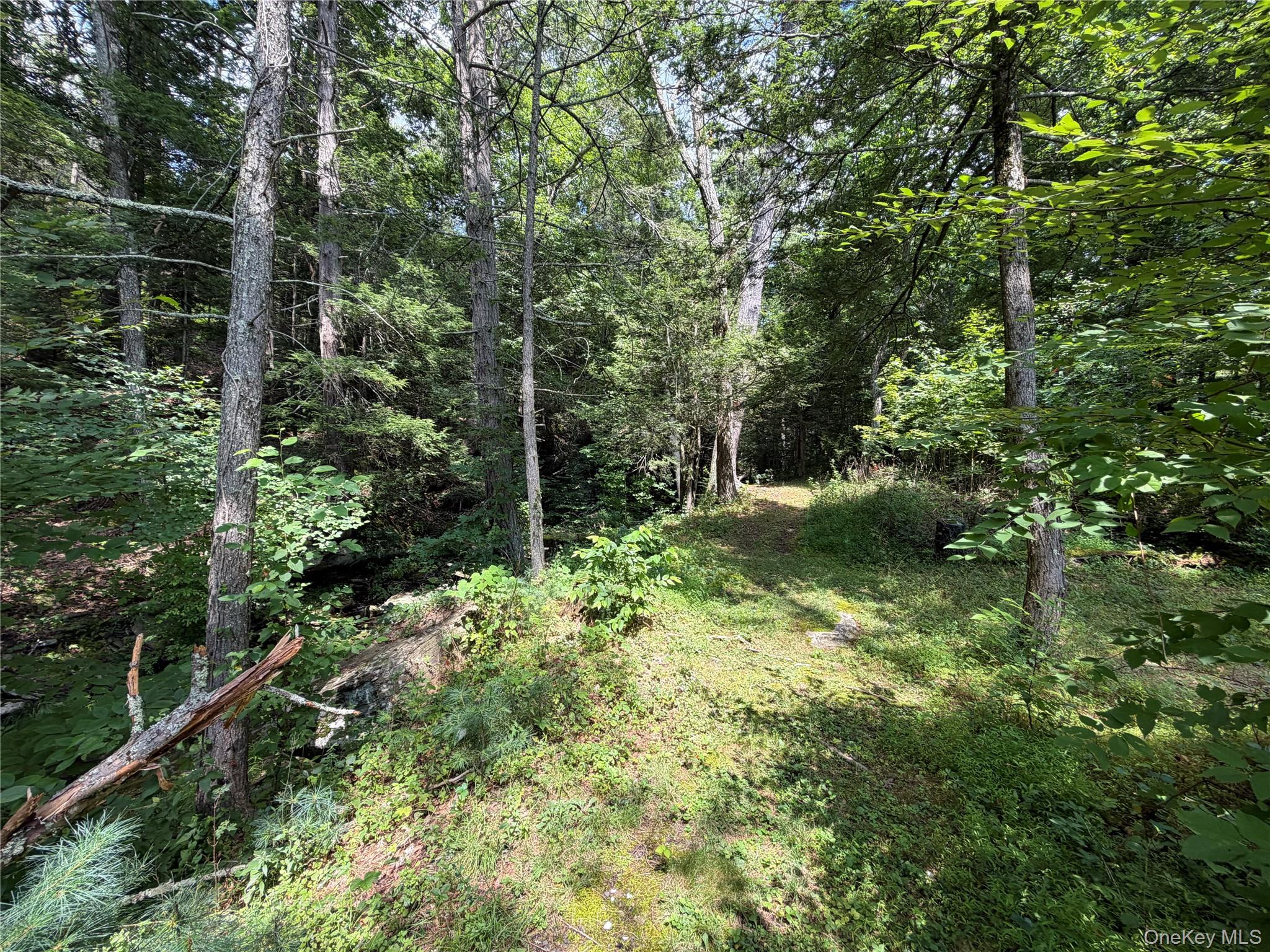 Route 209 Highway – For Sale photo 4