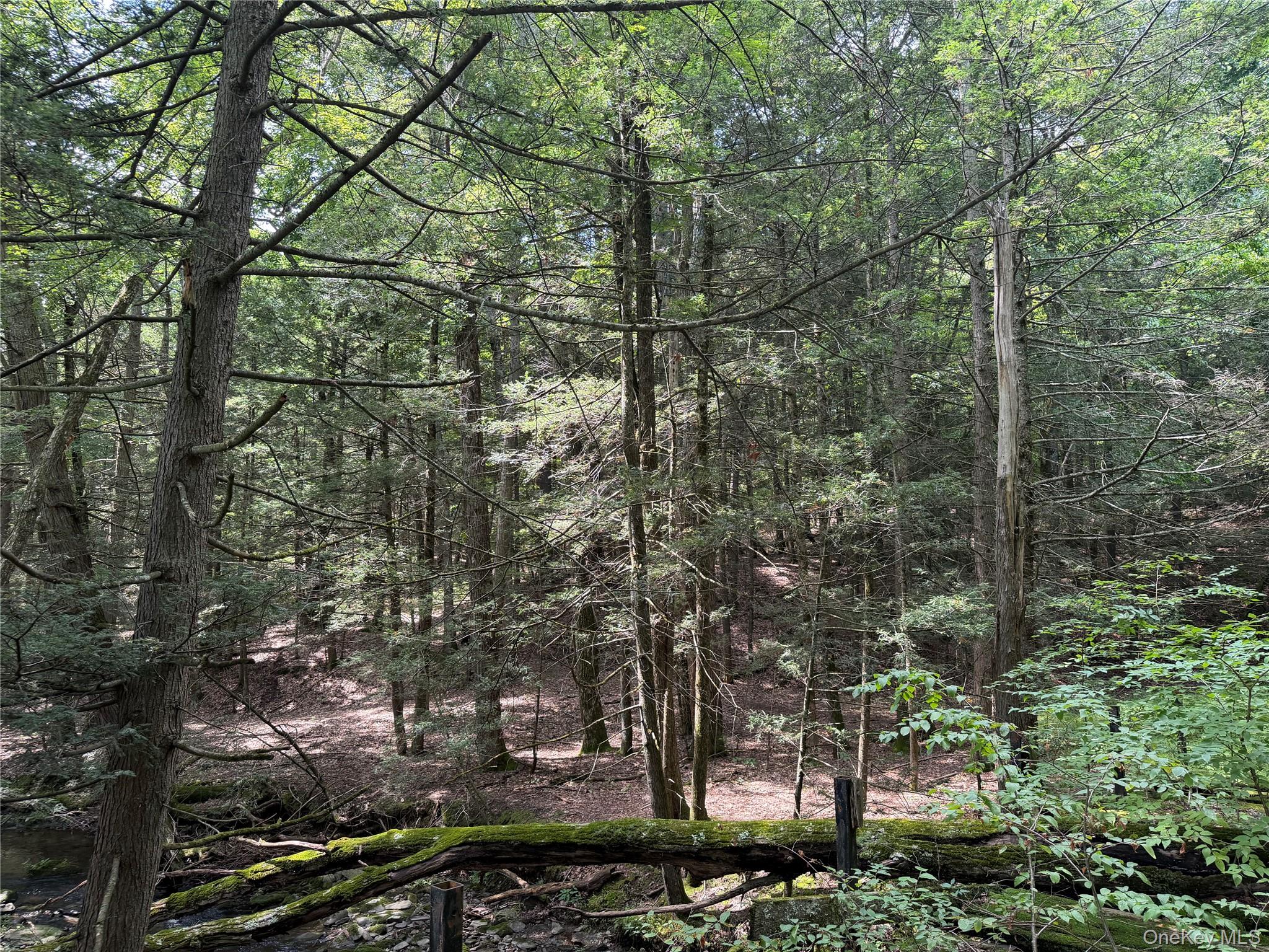 Route 209 Highway – For Sale photo 10