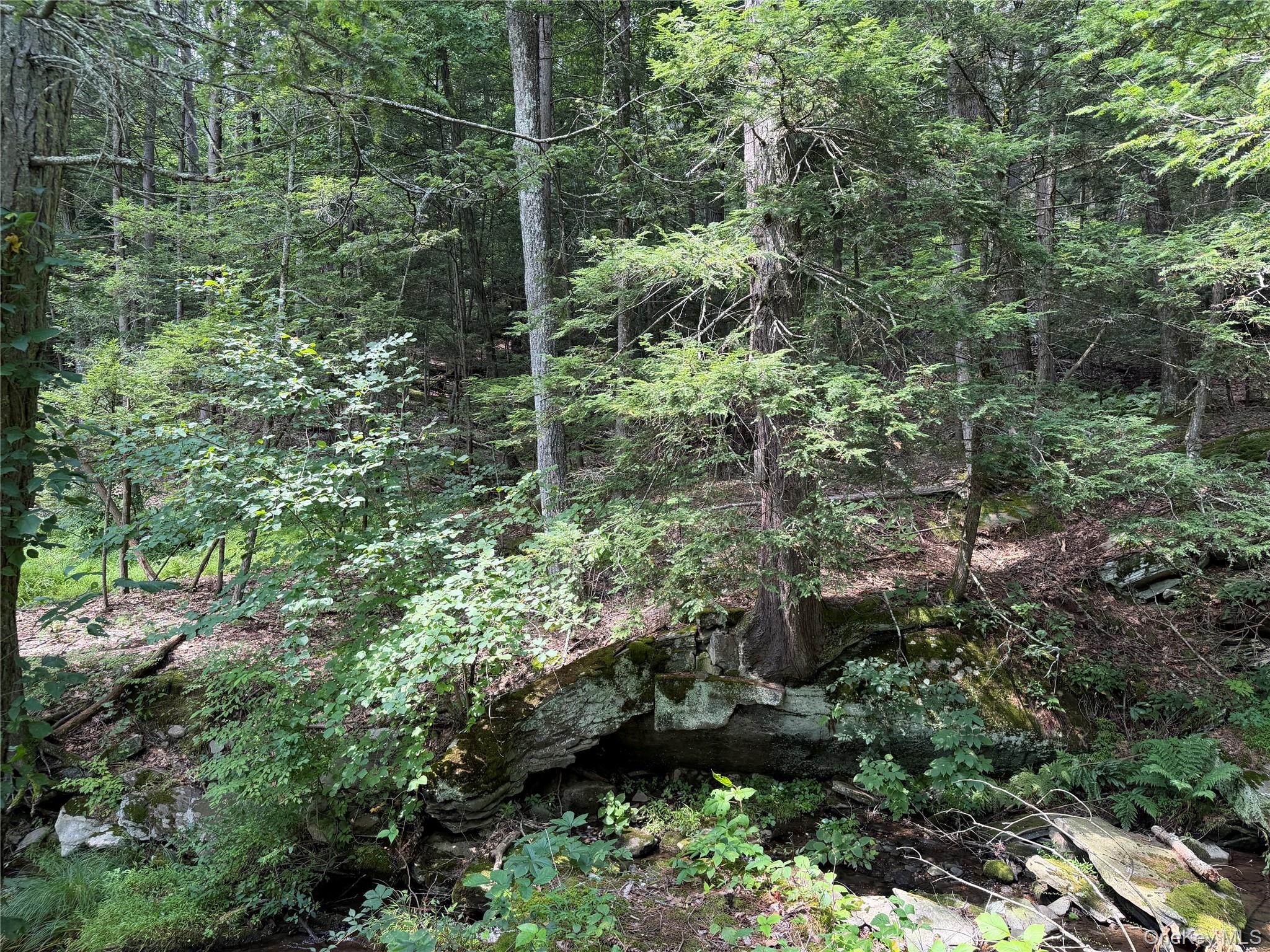 Route 209 Highway – For Sale photo 9