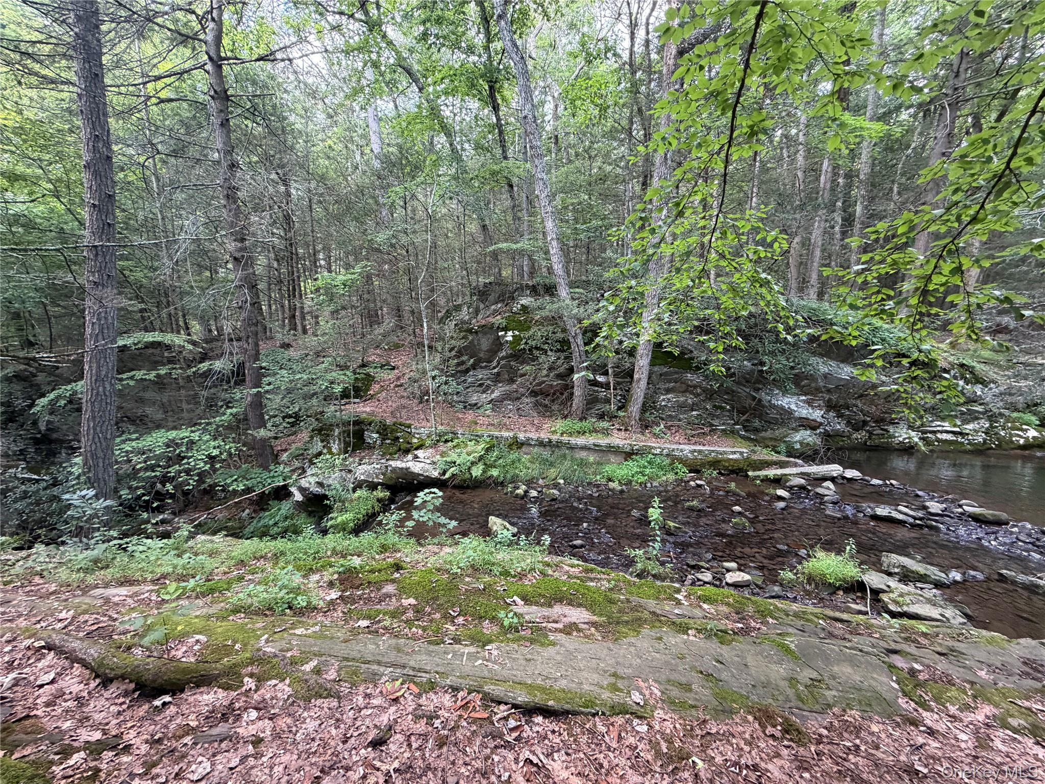 Route 209 Highway – For Sale photo 2
