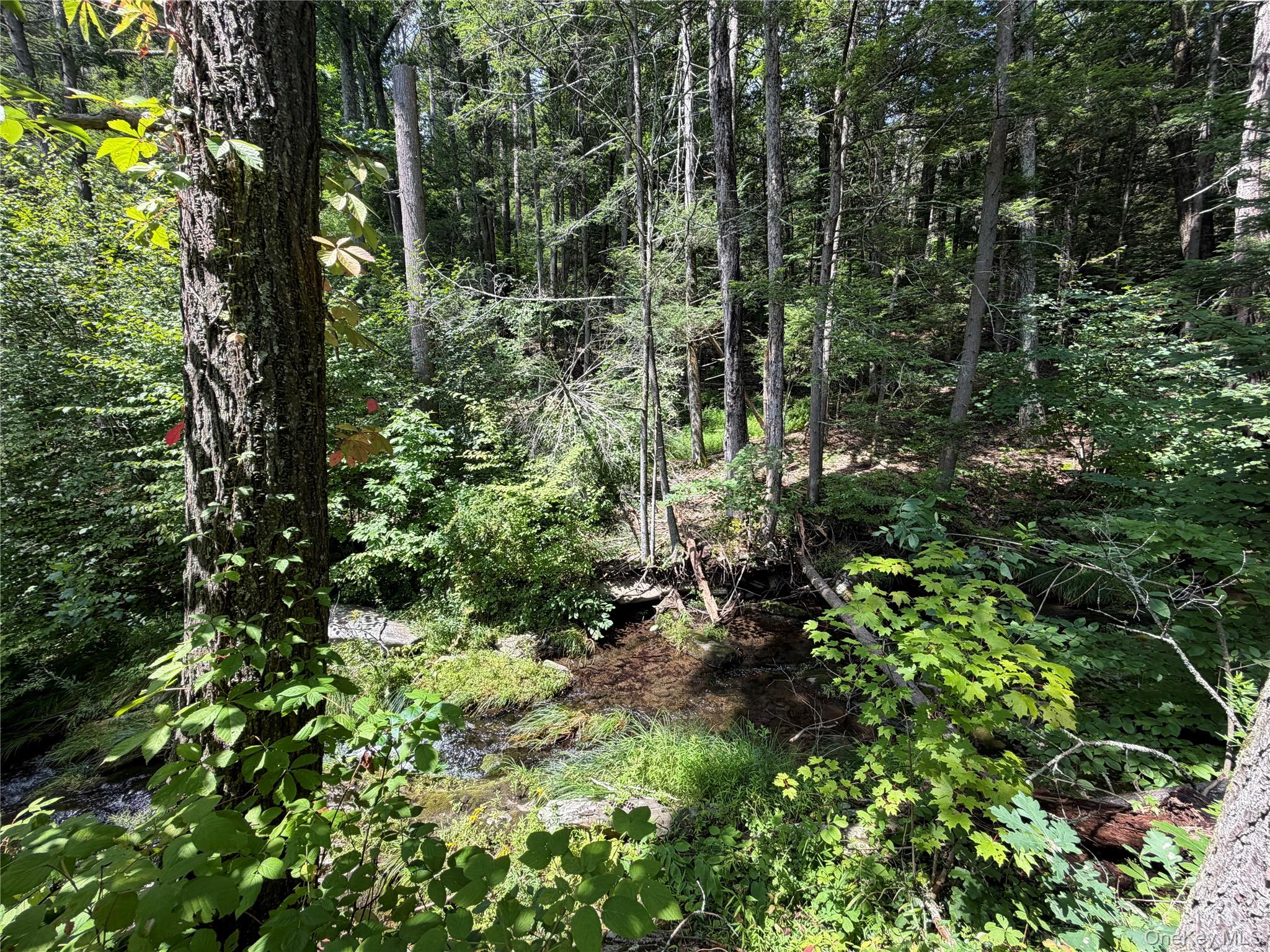 Route 209 Highway – For Sale photo 7