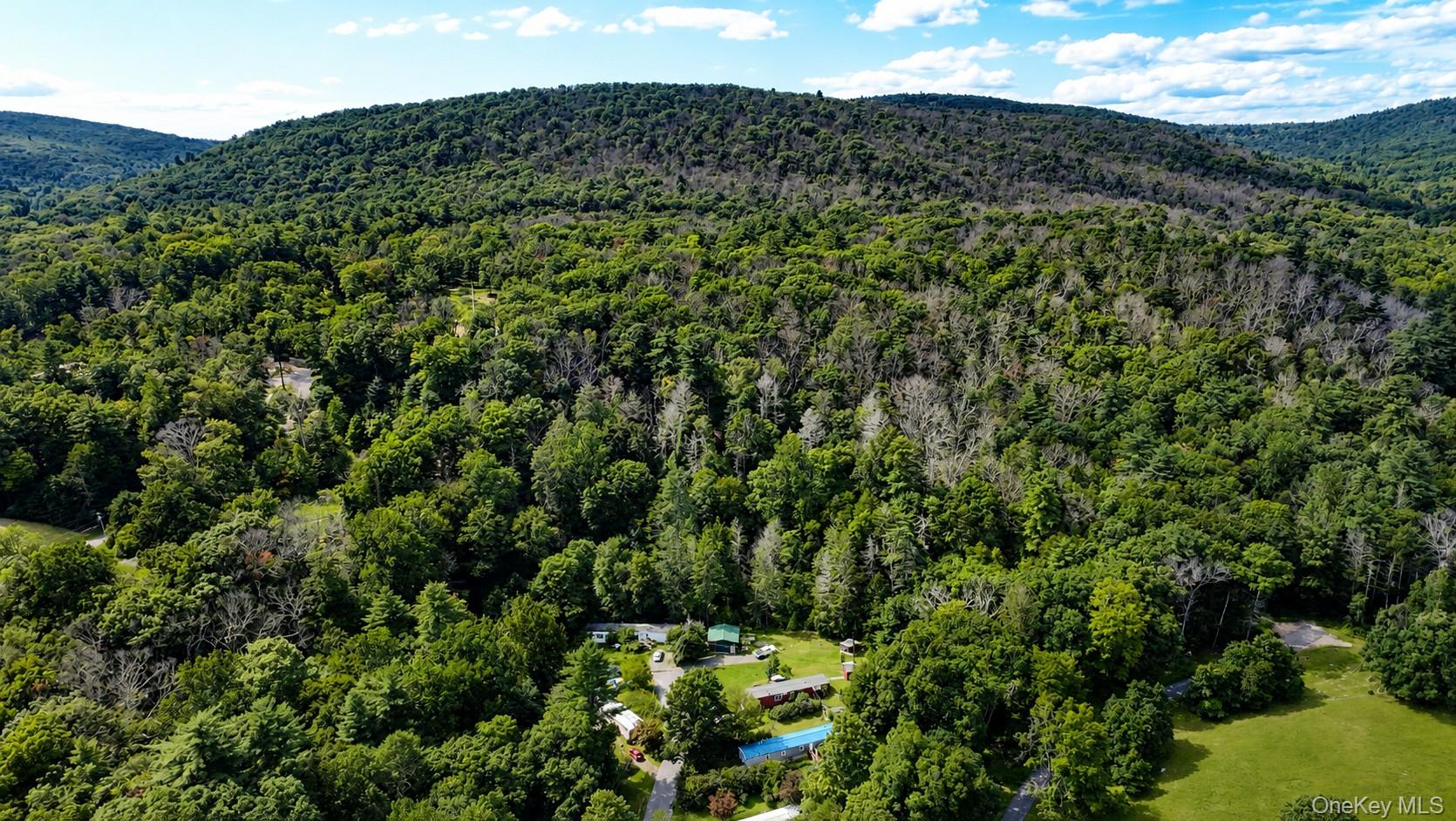 Route 209 Highway – For Sale photo 19
