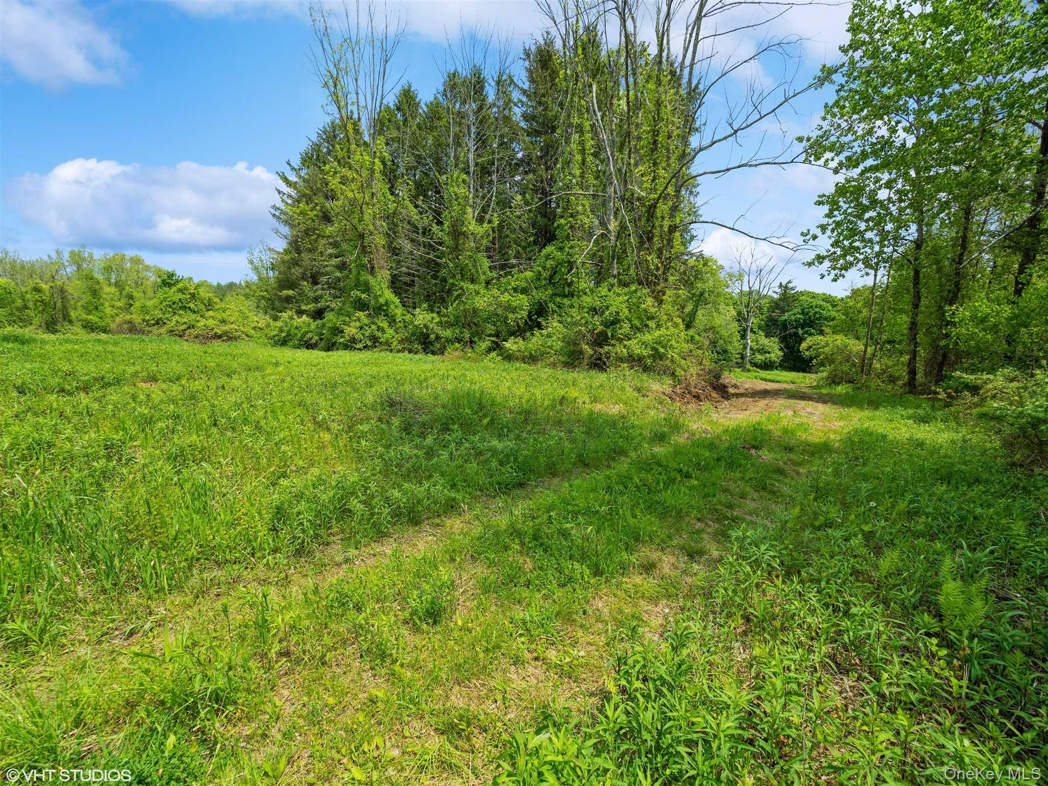 SKUNKS MISERY Lot 2 Road – For Sale photo 20