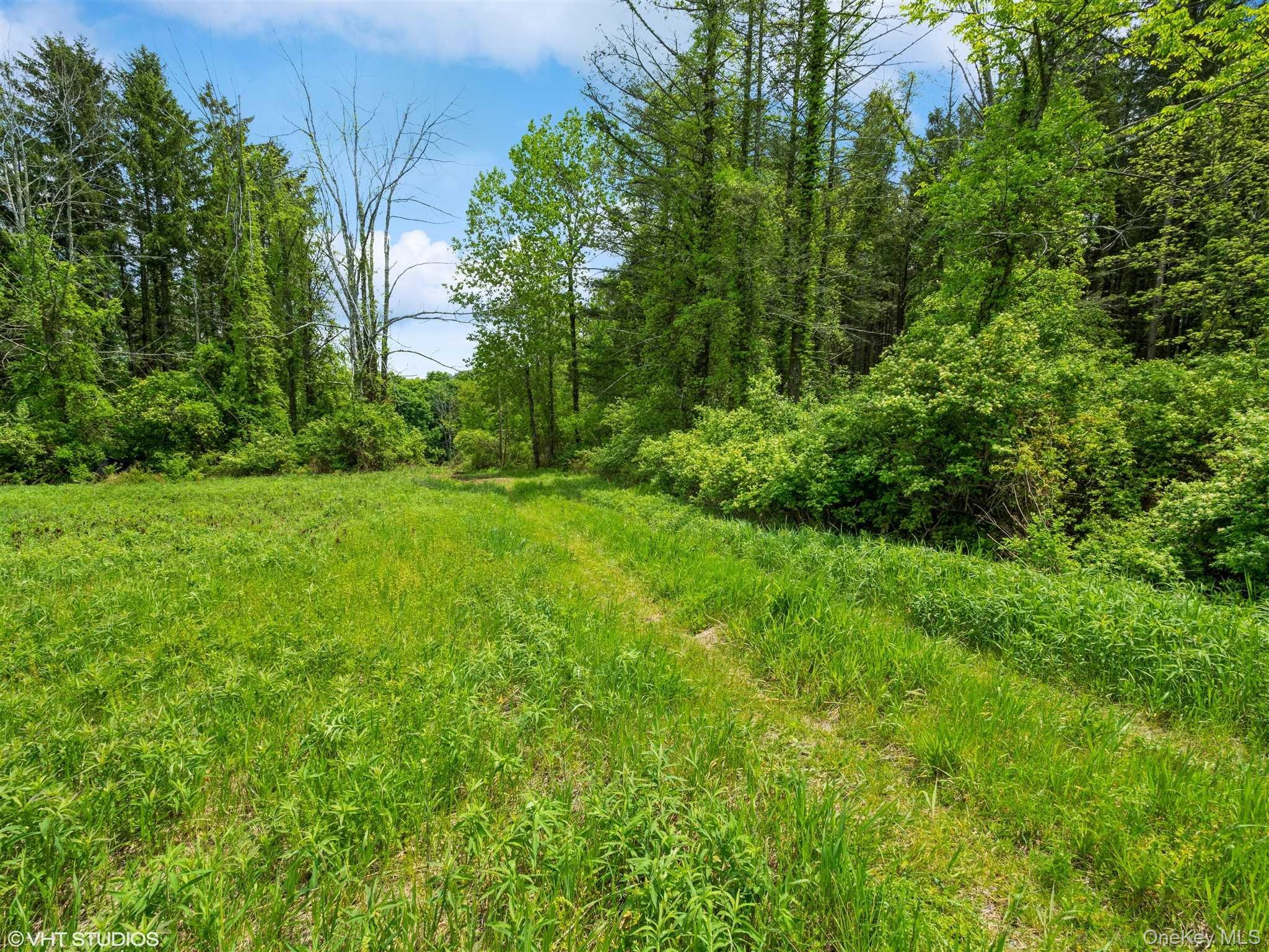 SKUNKS MISERY Lot 2 Road – For Sale photo 19