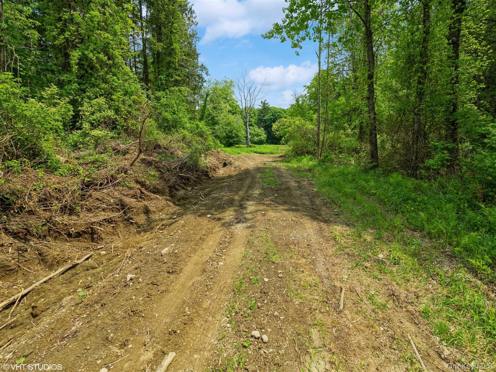 SKUNKS MISERY Lot 2 Road – For Sale photo 23