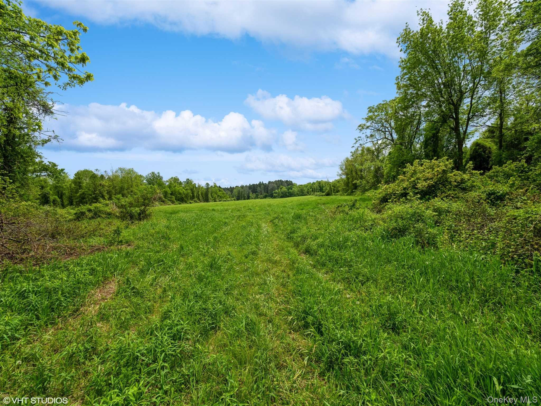 SKUNKS MISERY Lot 2 Road – For Sale photo 24