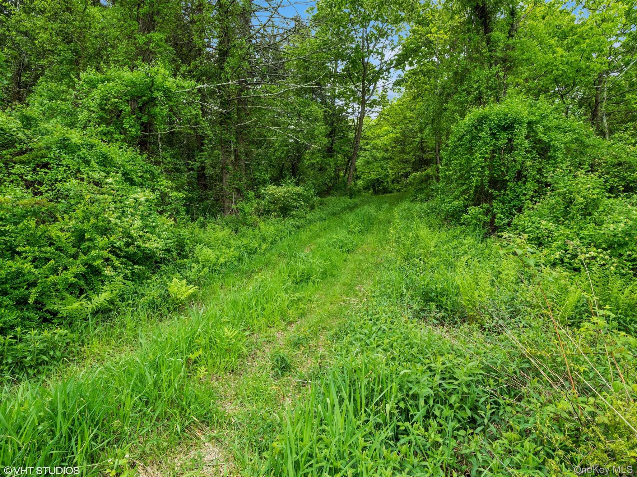SKUNKS MISERY Lot 2 Road – For Sale photo 17