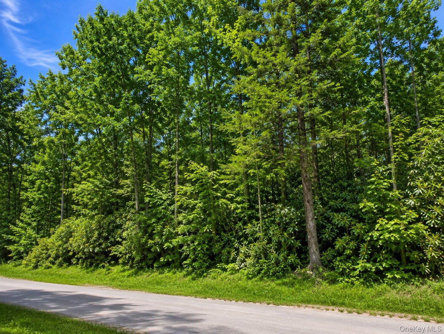 Benton Hollow Road – For Sale photo 2