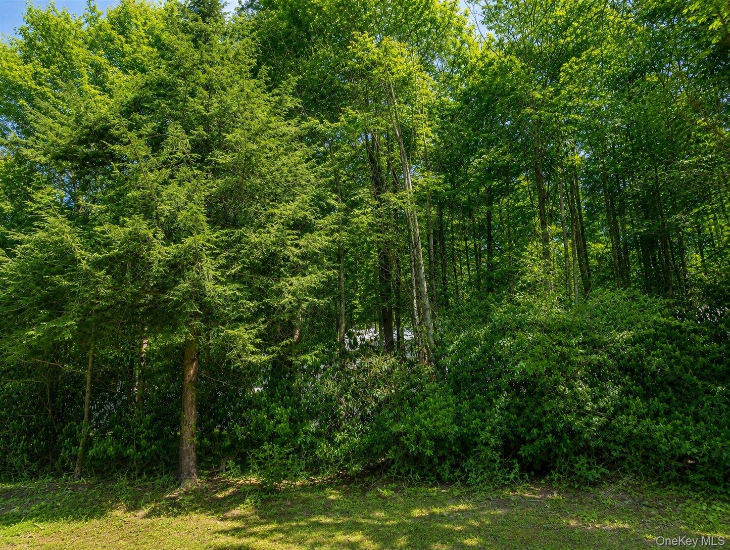 Benton Hollow Road – For Sale photo 3