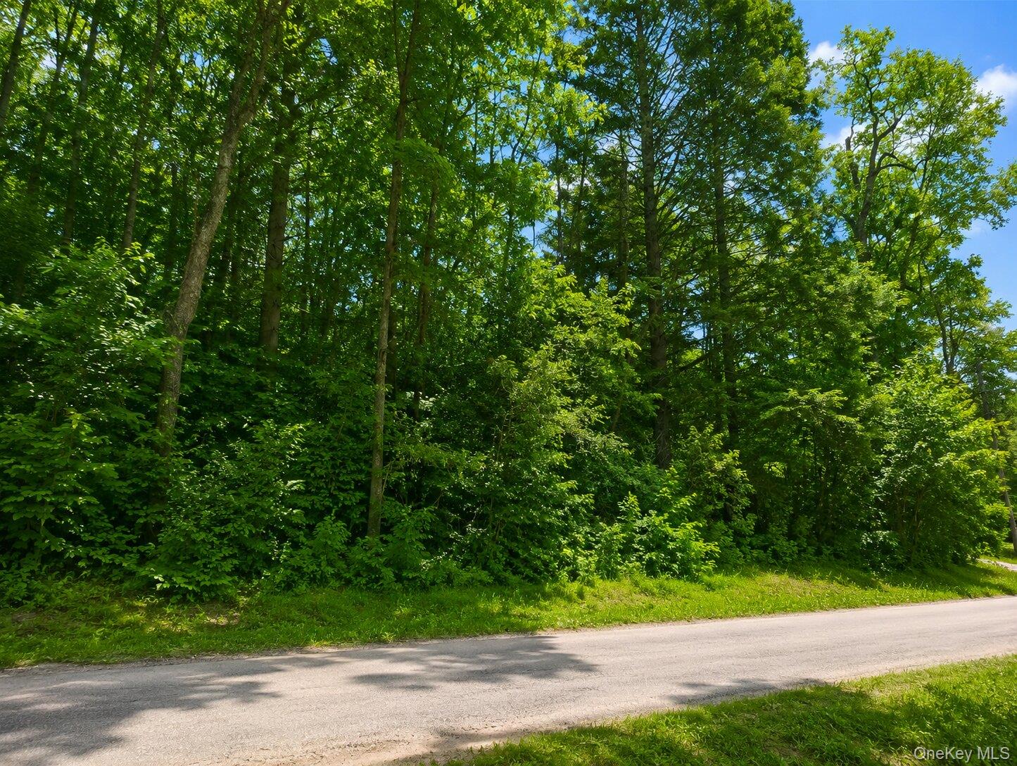 Benton Hollow Road – For Sale