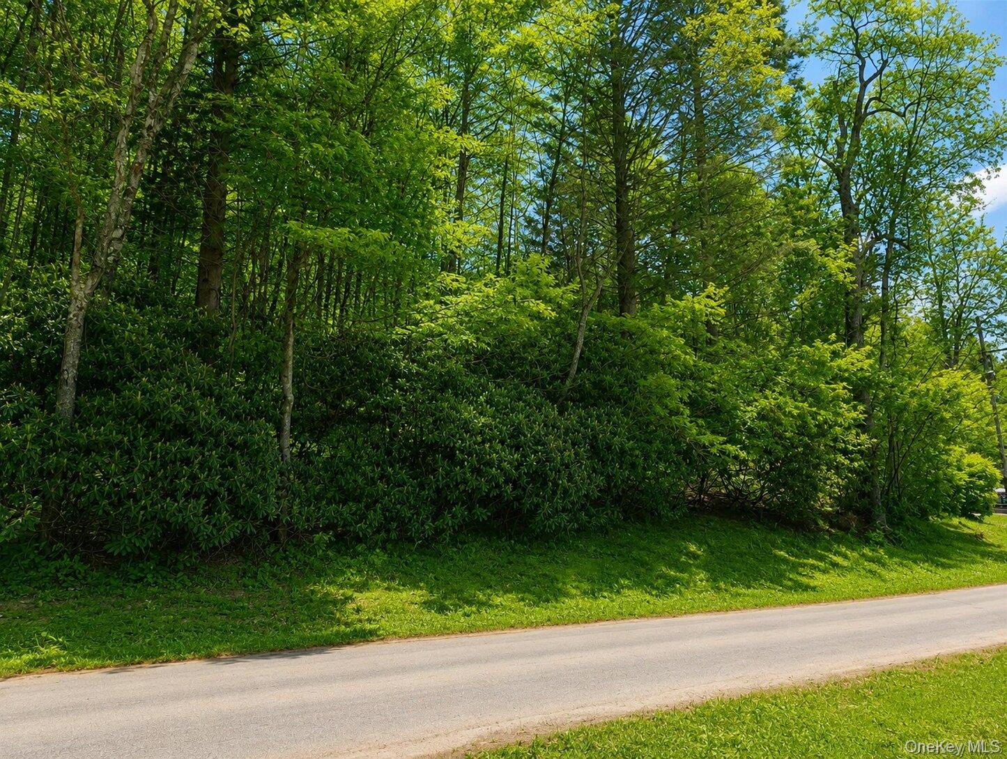 Benton Hollow Road – For Sale photo 4