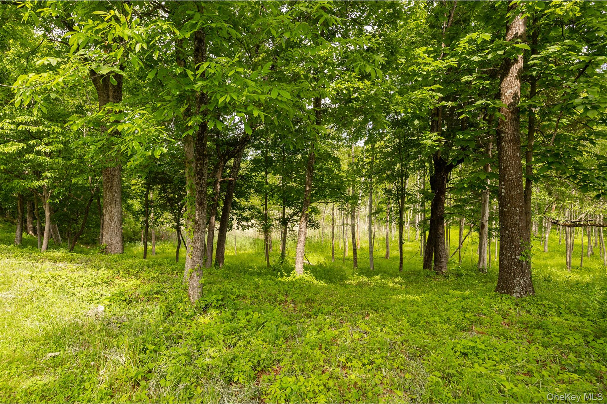 12 Nichris Lane – For Sale photo 41