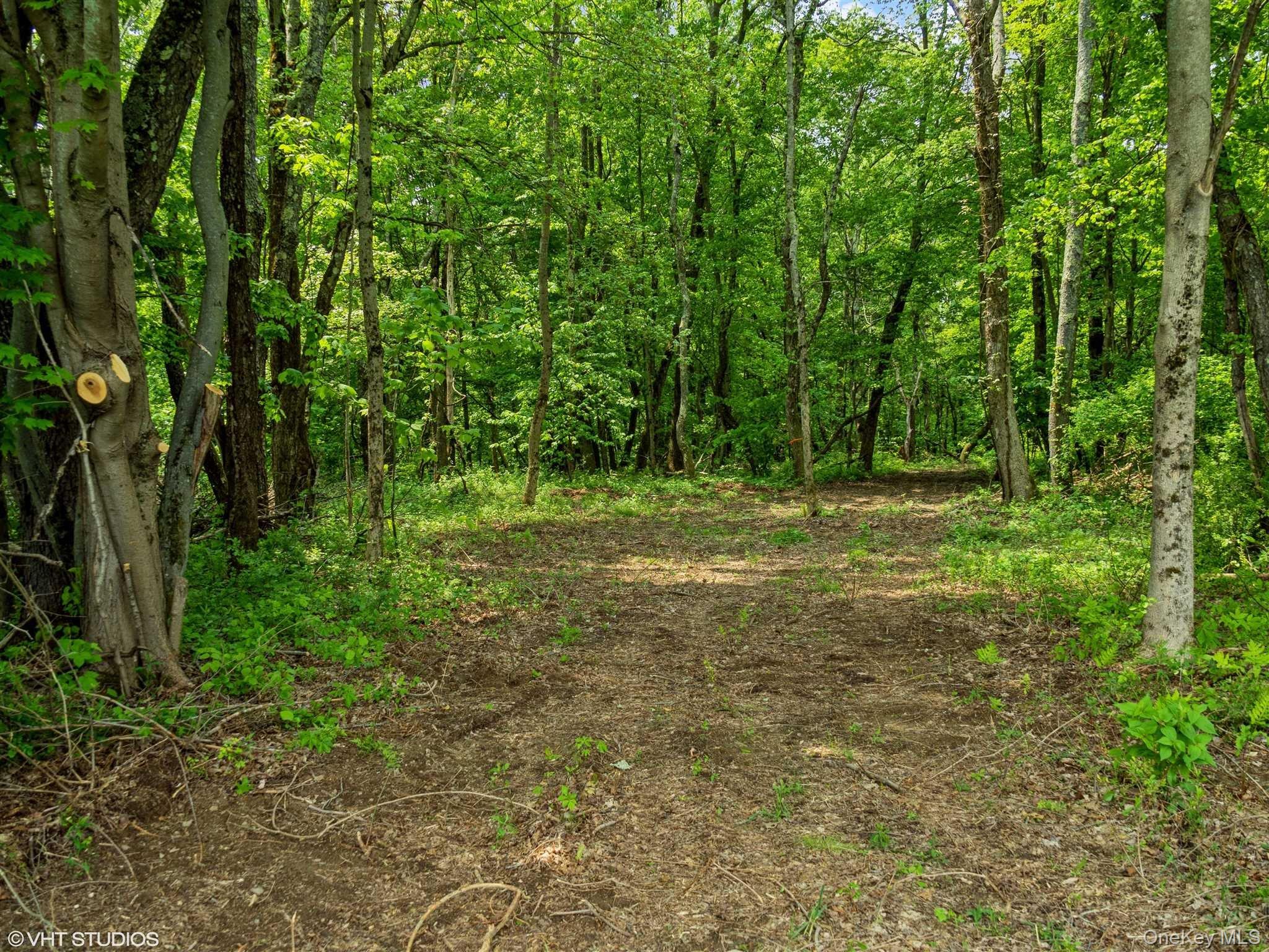SKUNKS MISERY Lot 1 Road – For Sale photo 20