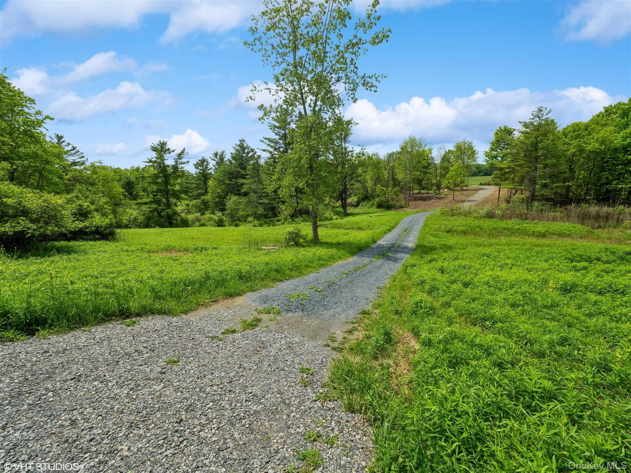 SKUNKS MISERY Lot 1 Road – For Sale photo 37