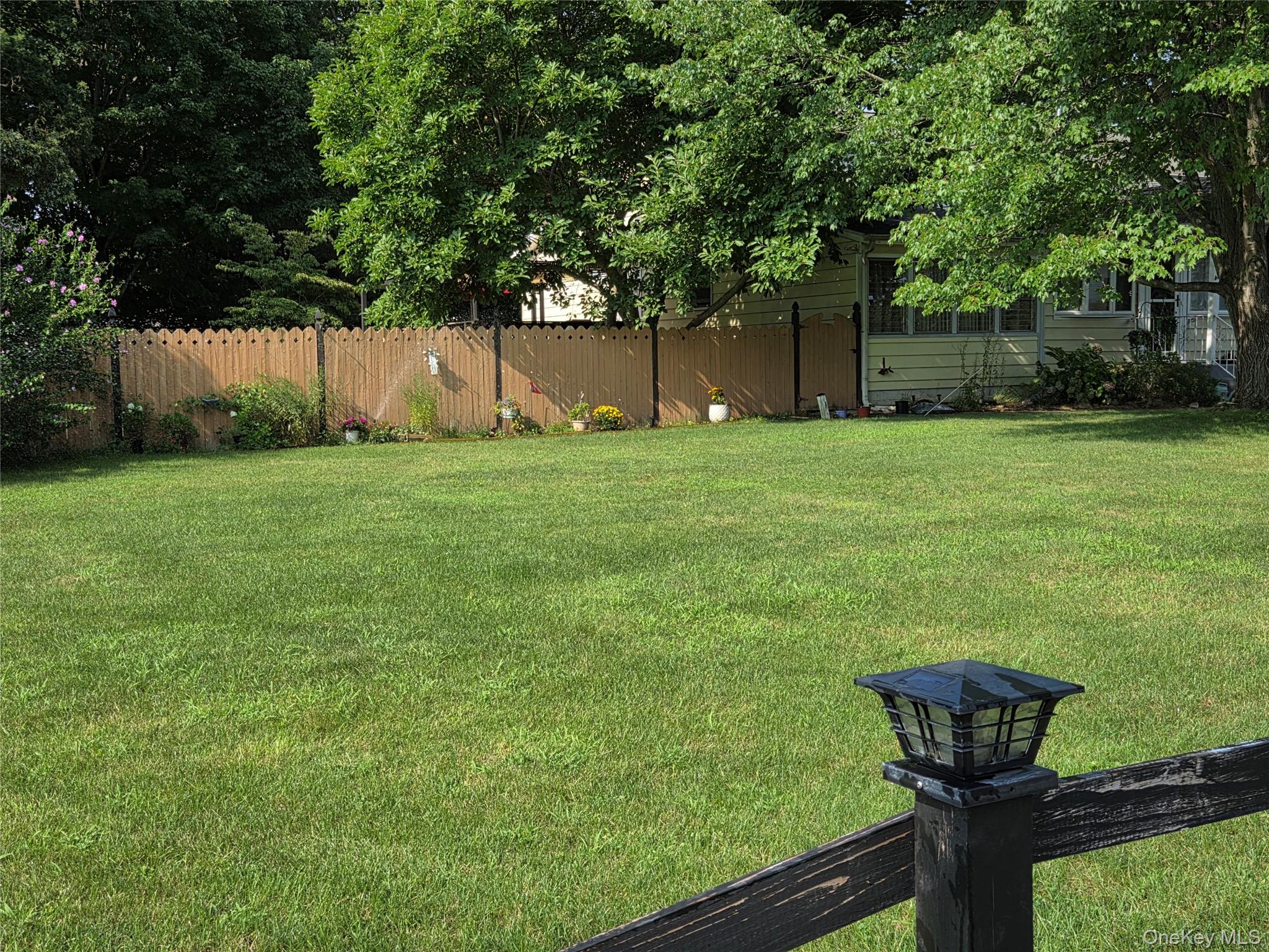33 Elmwood Avenue – For Sale photo 5